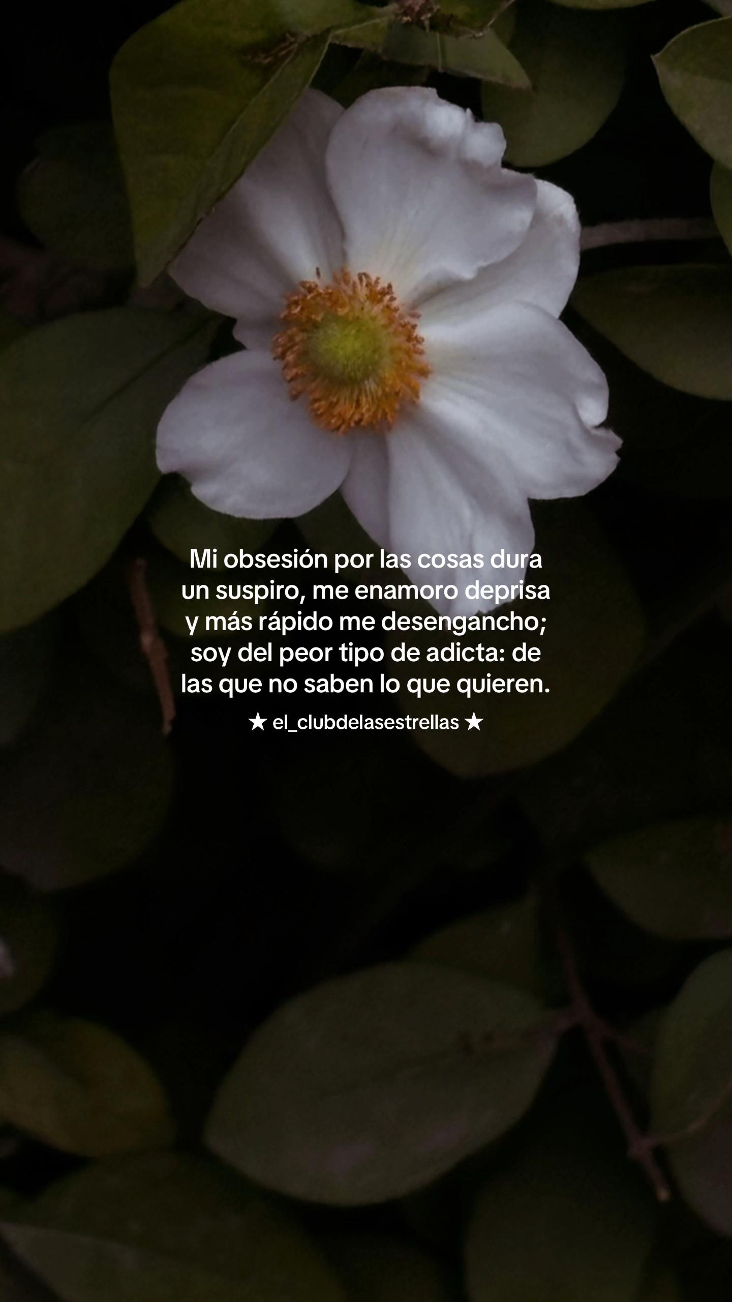 @★ el_clubdelasestrellas ★
