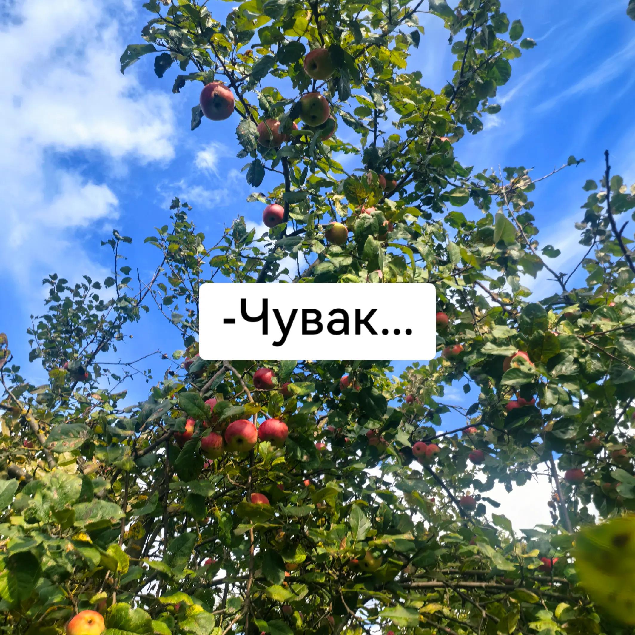 @๐๐ผ๐๐๐ธ