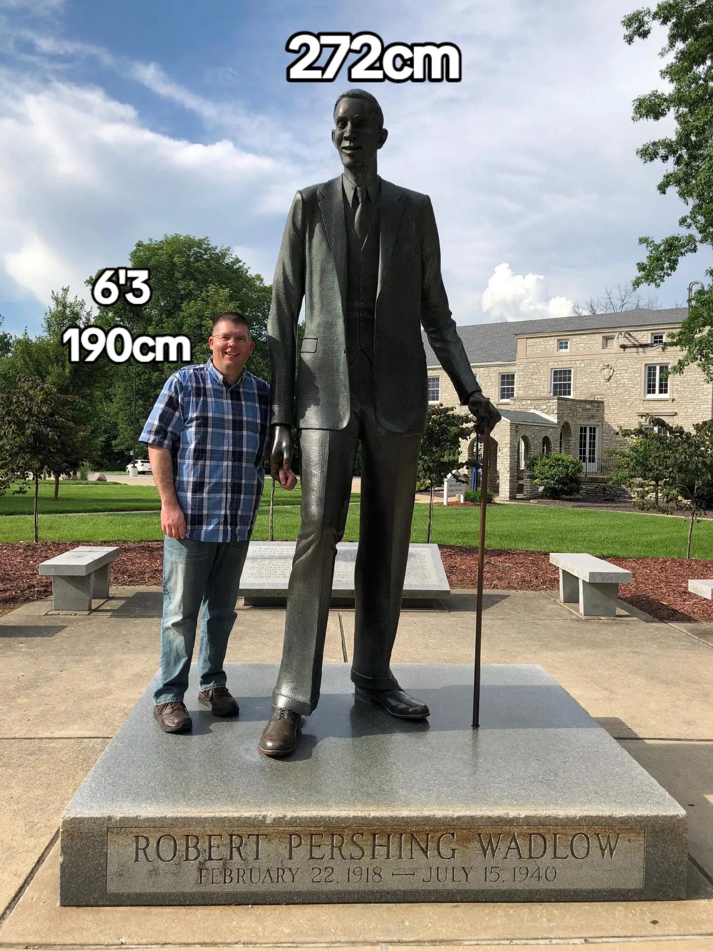 @Robert Wadlow