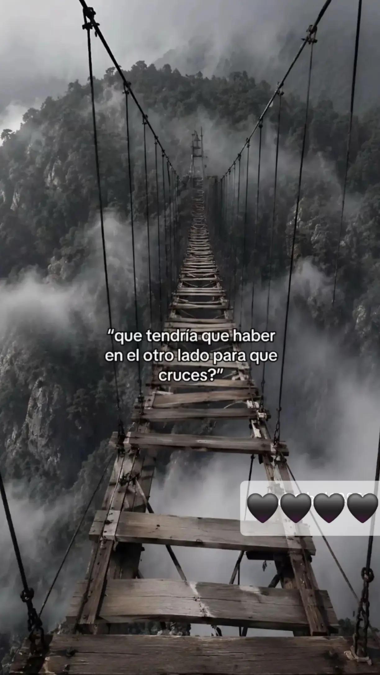 @Claribella 🦋🦋