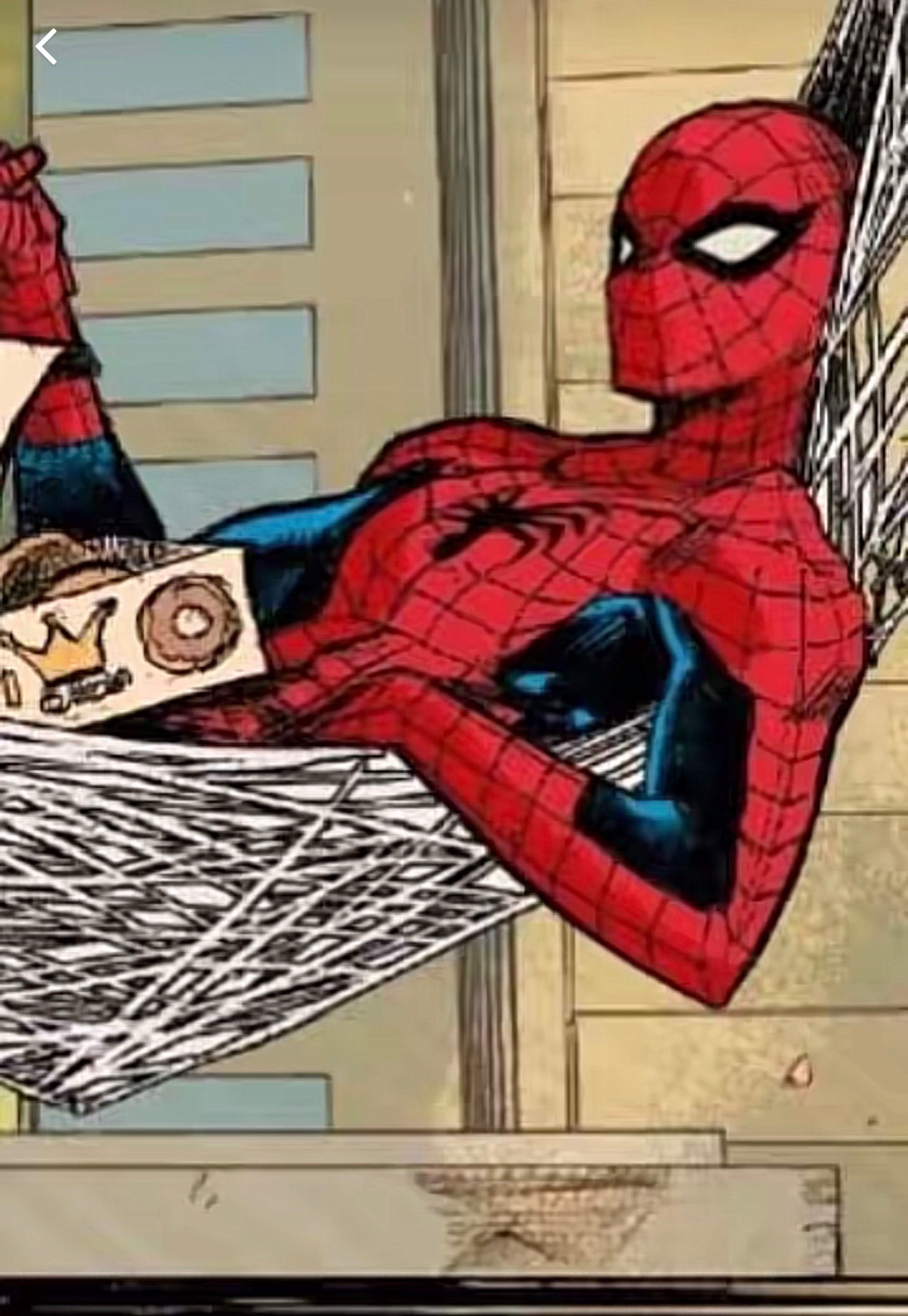 @spideysfigs1