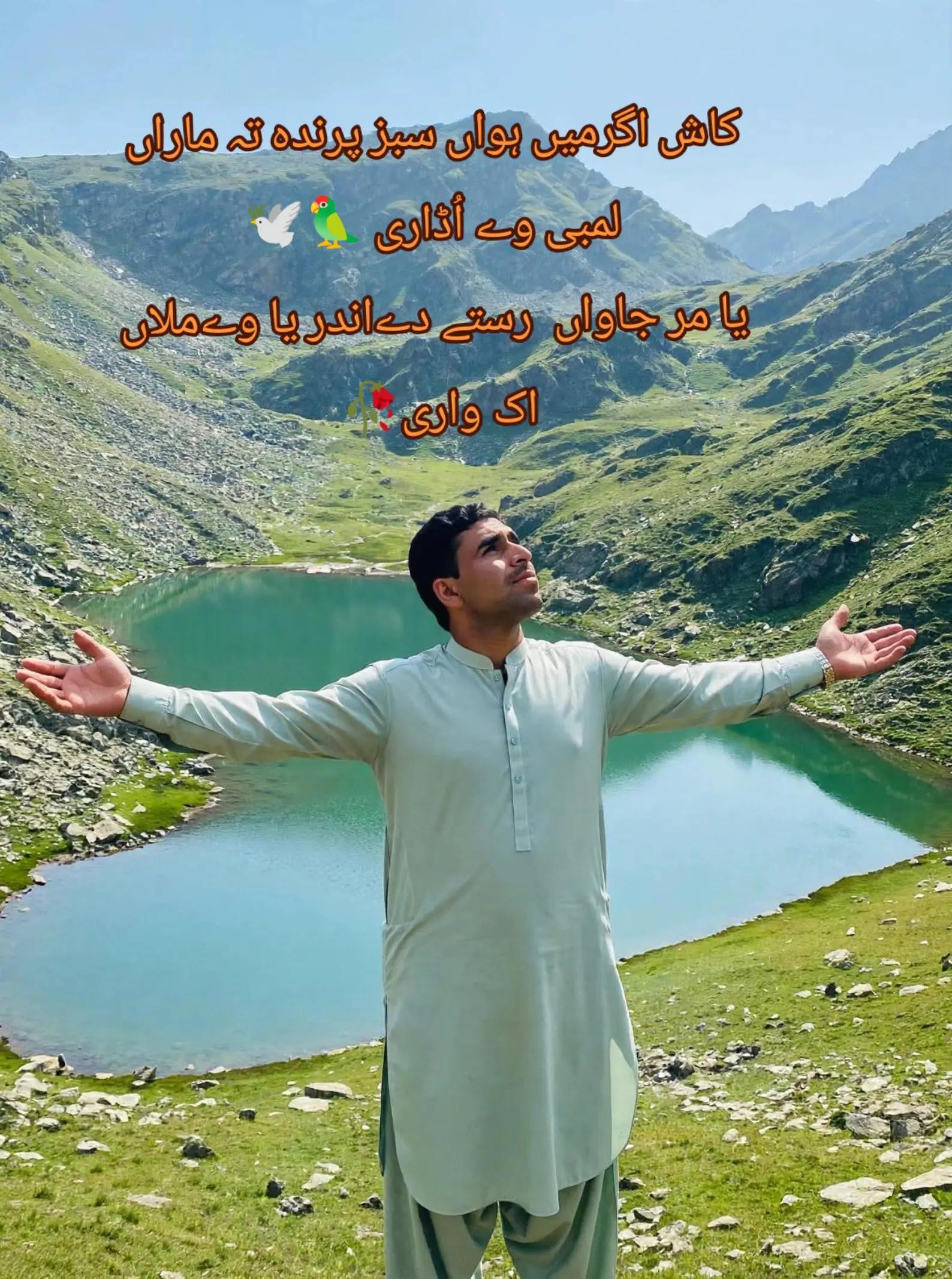 @sajid 786