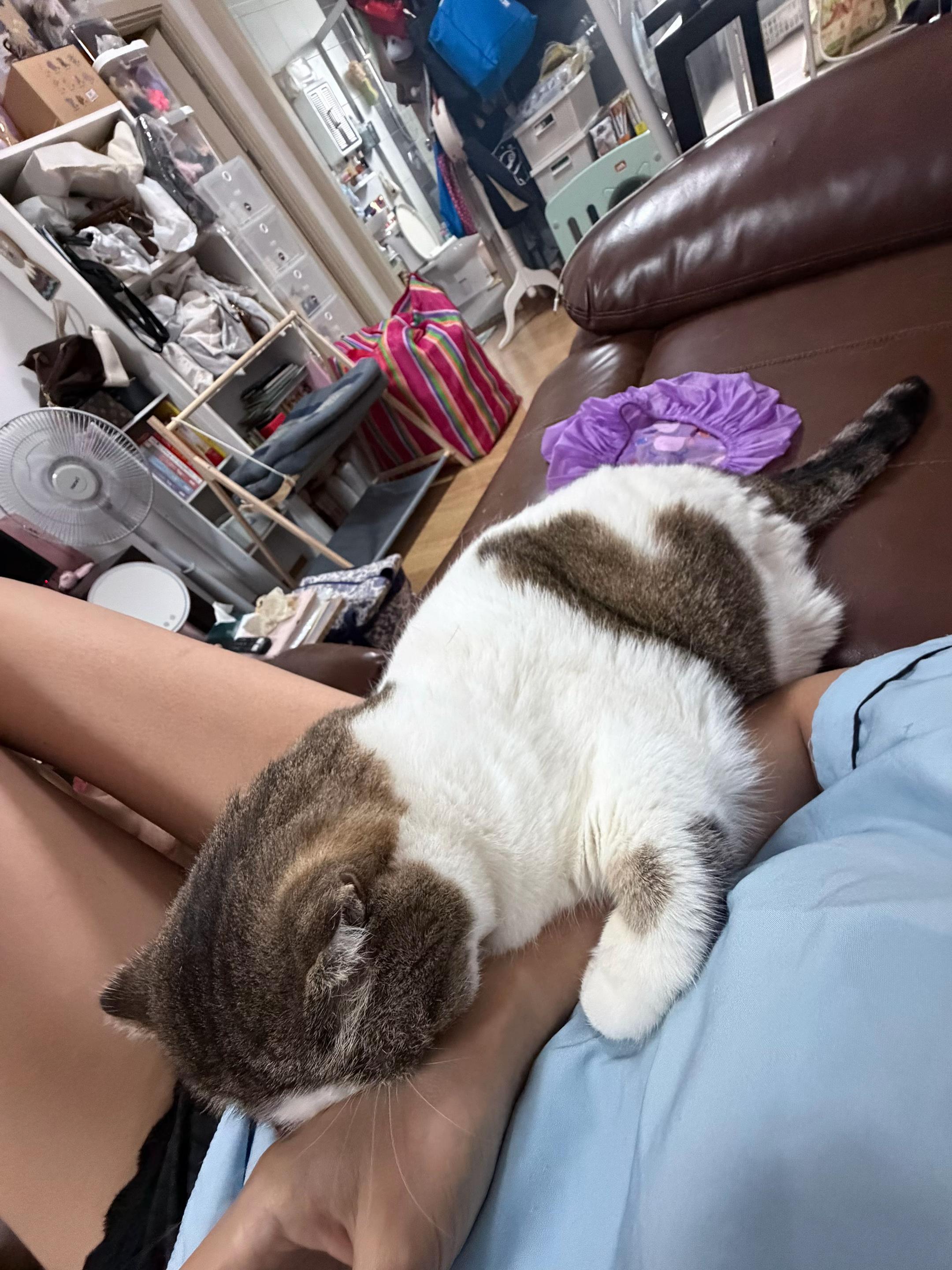 @Ramita 🐱