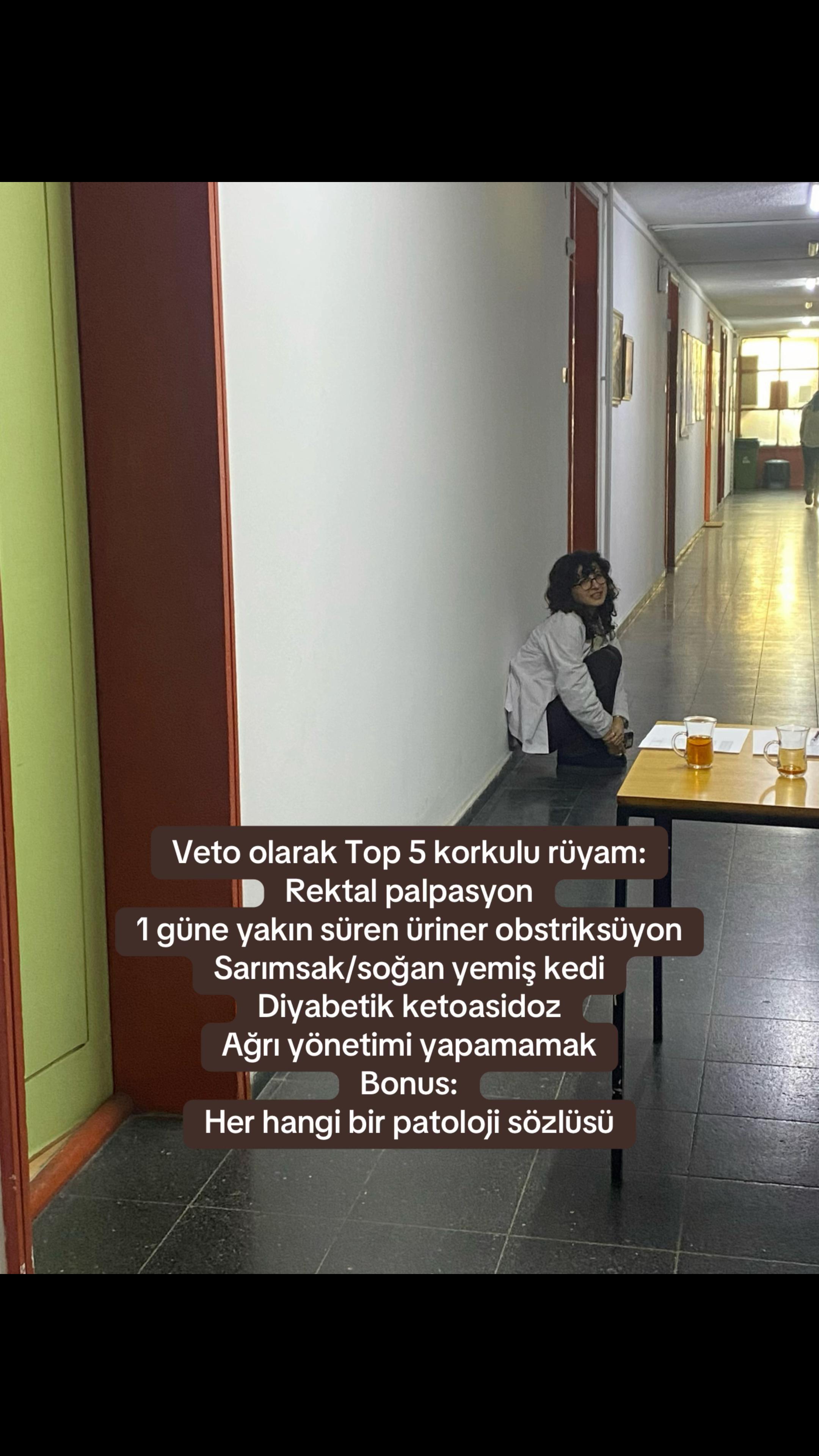 @vetmelo