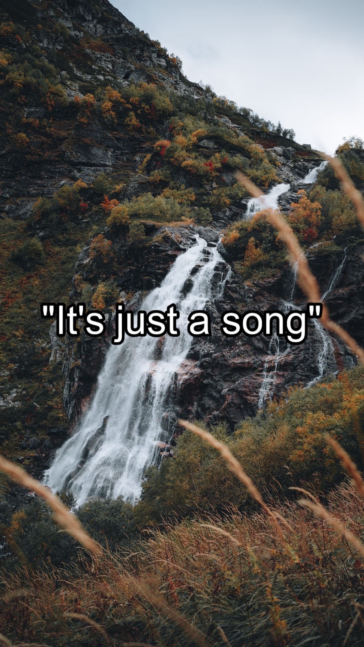 @CountryMusicEnjoyer🤠