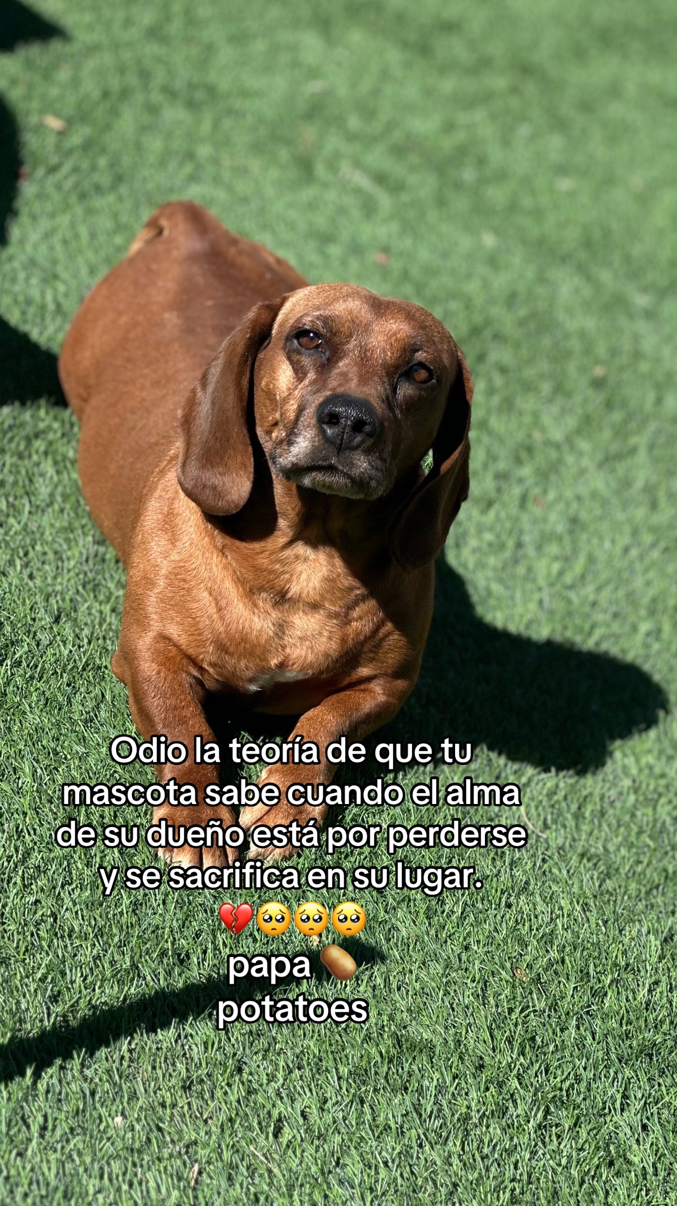 @Lluvia