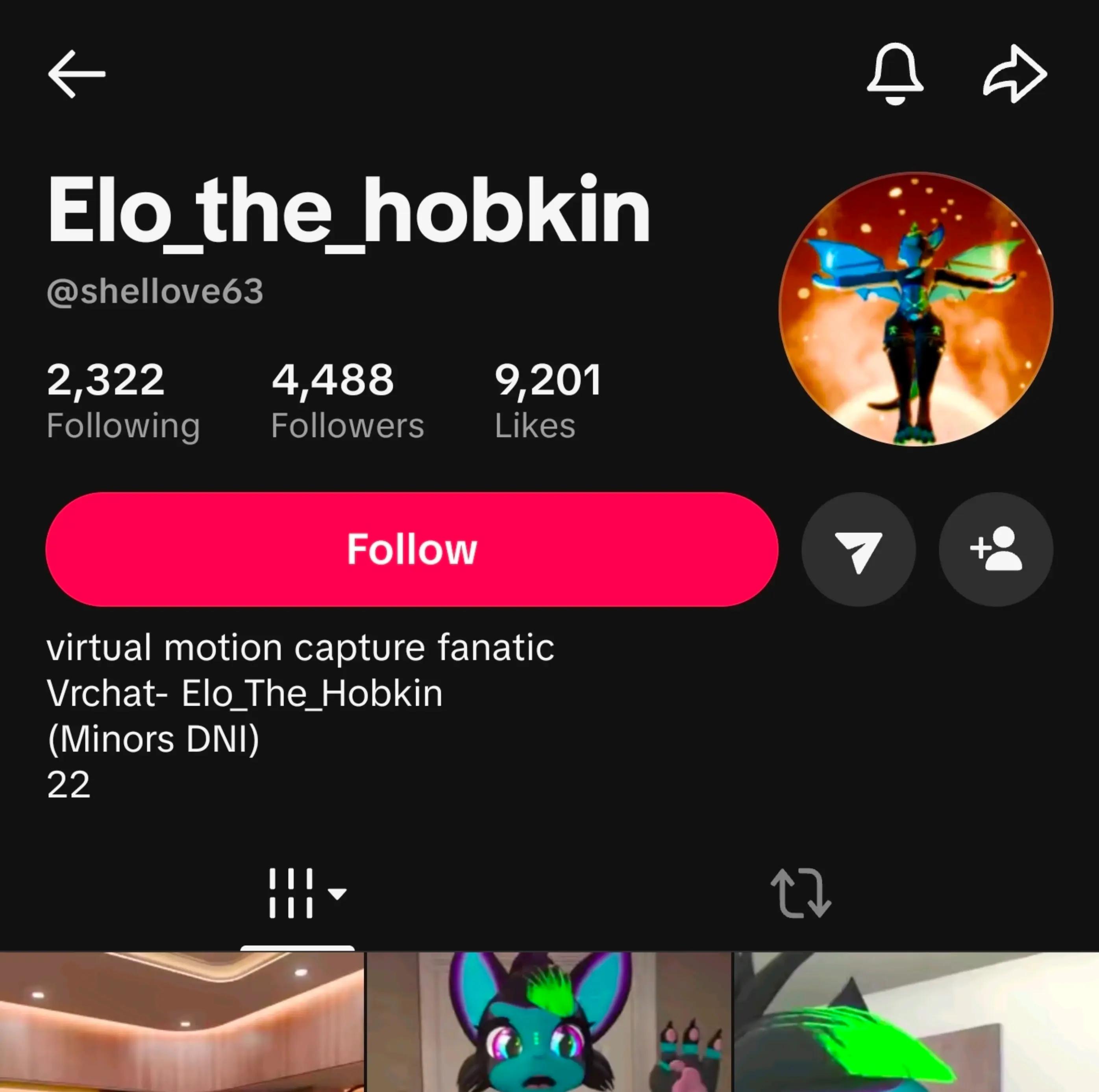 @Elo_The_Hobkin