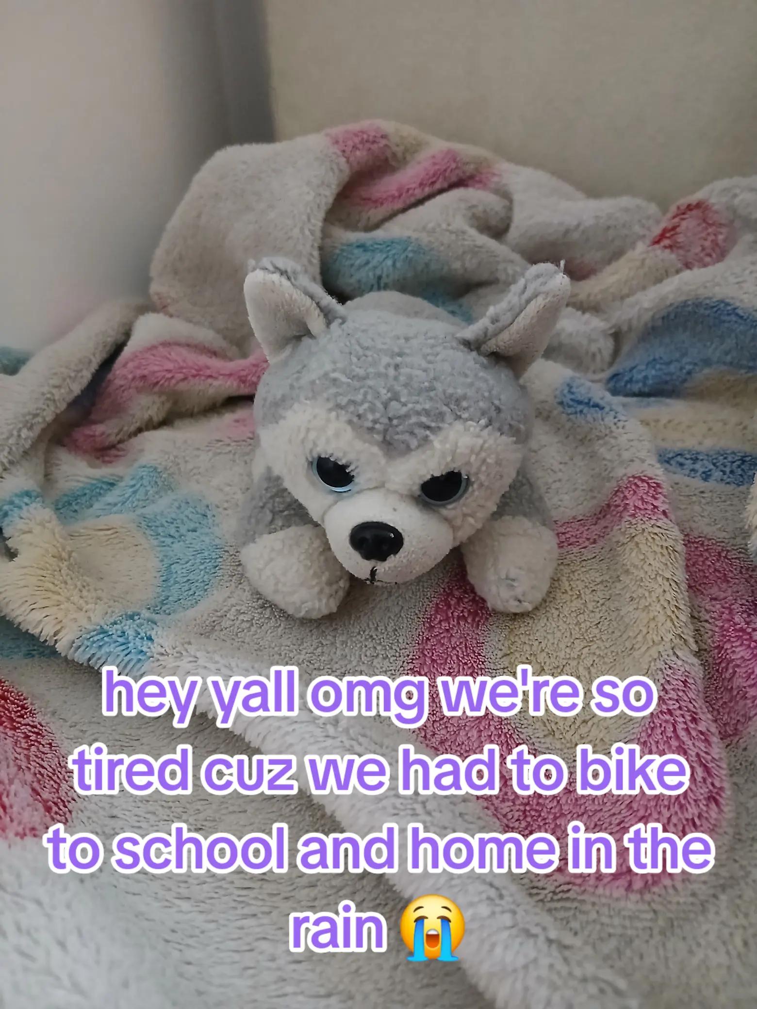 @Peppermint🐺🍥