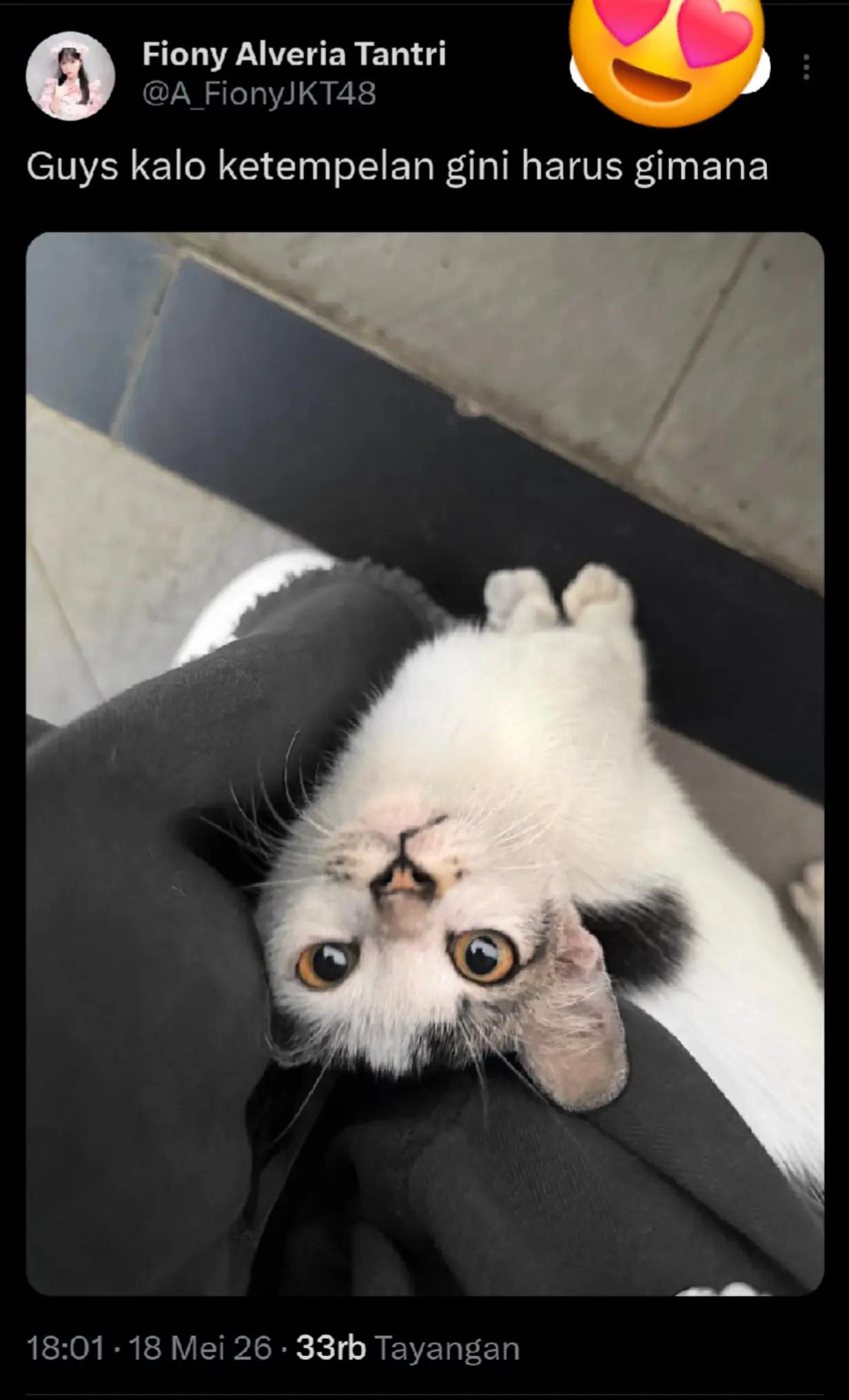 @FreFioCiLa😇(ondah)🤭