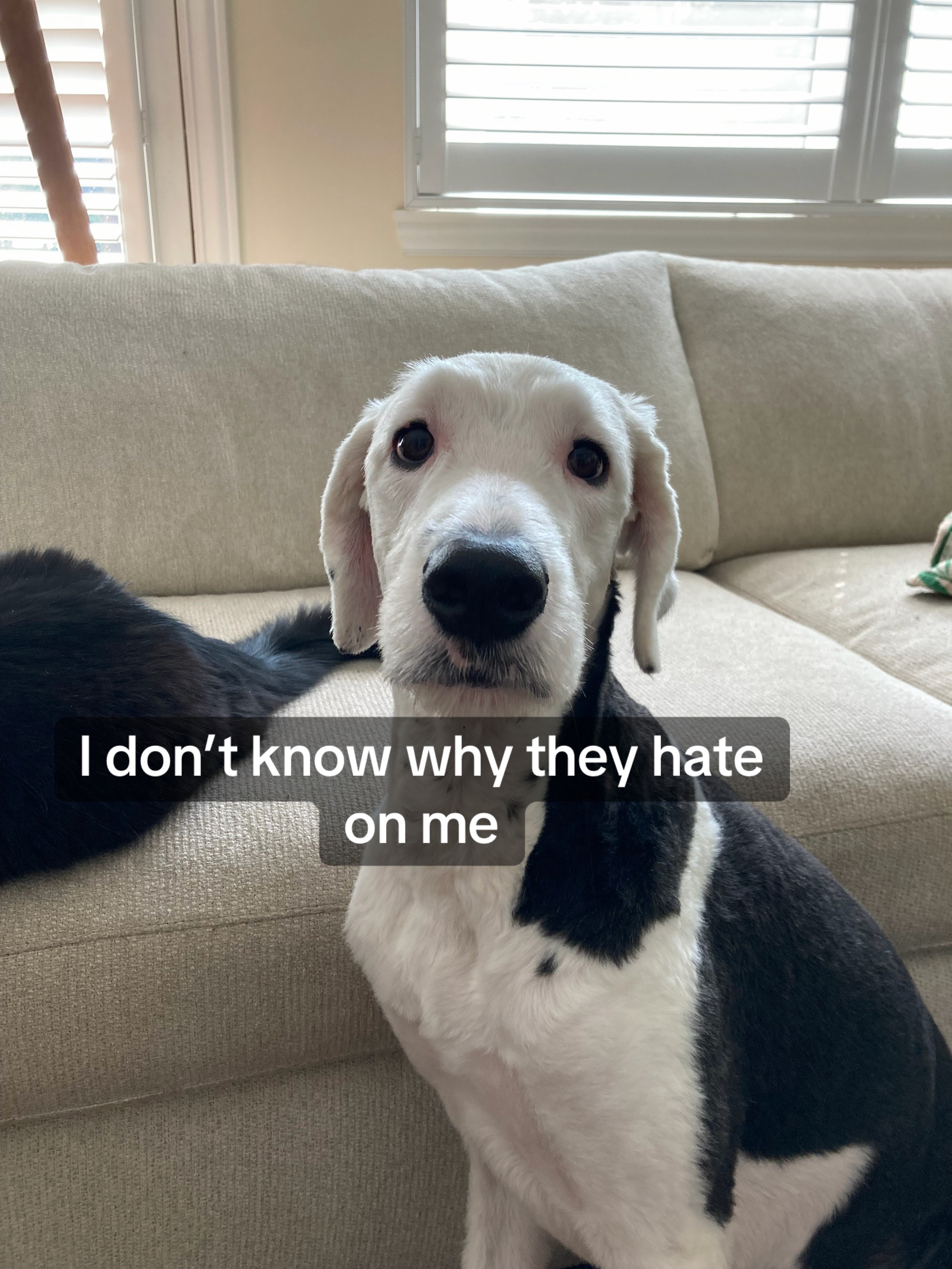 @๐ ๐ป๐ถ๐๐๐ โ๏ธ