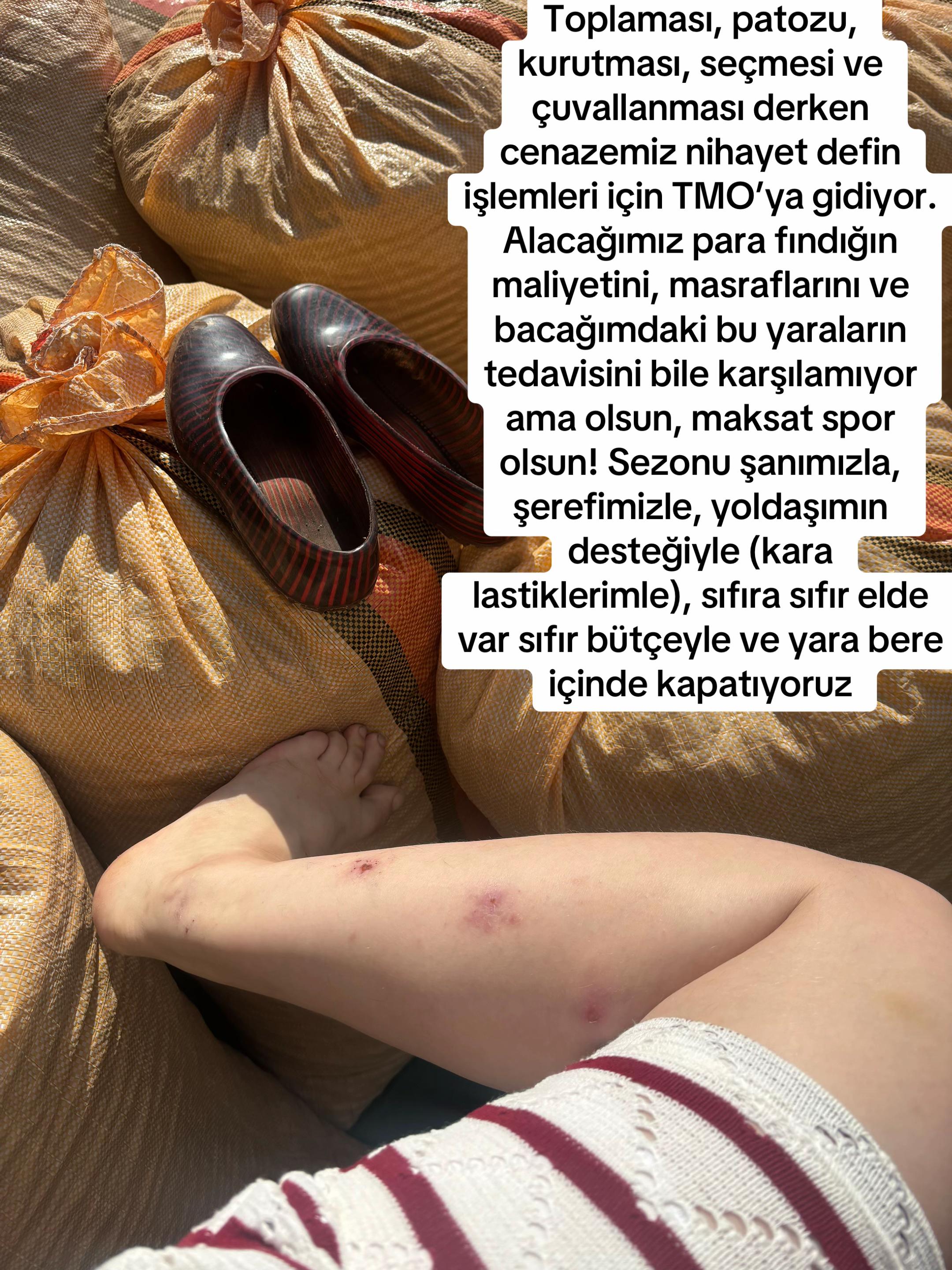 @Derya Bas