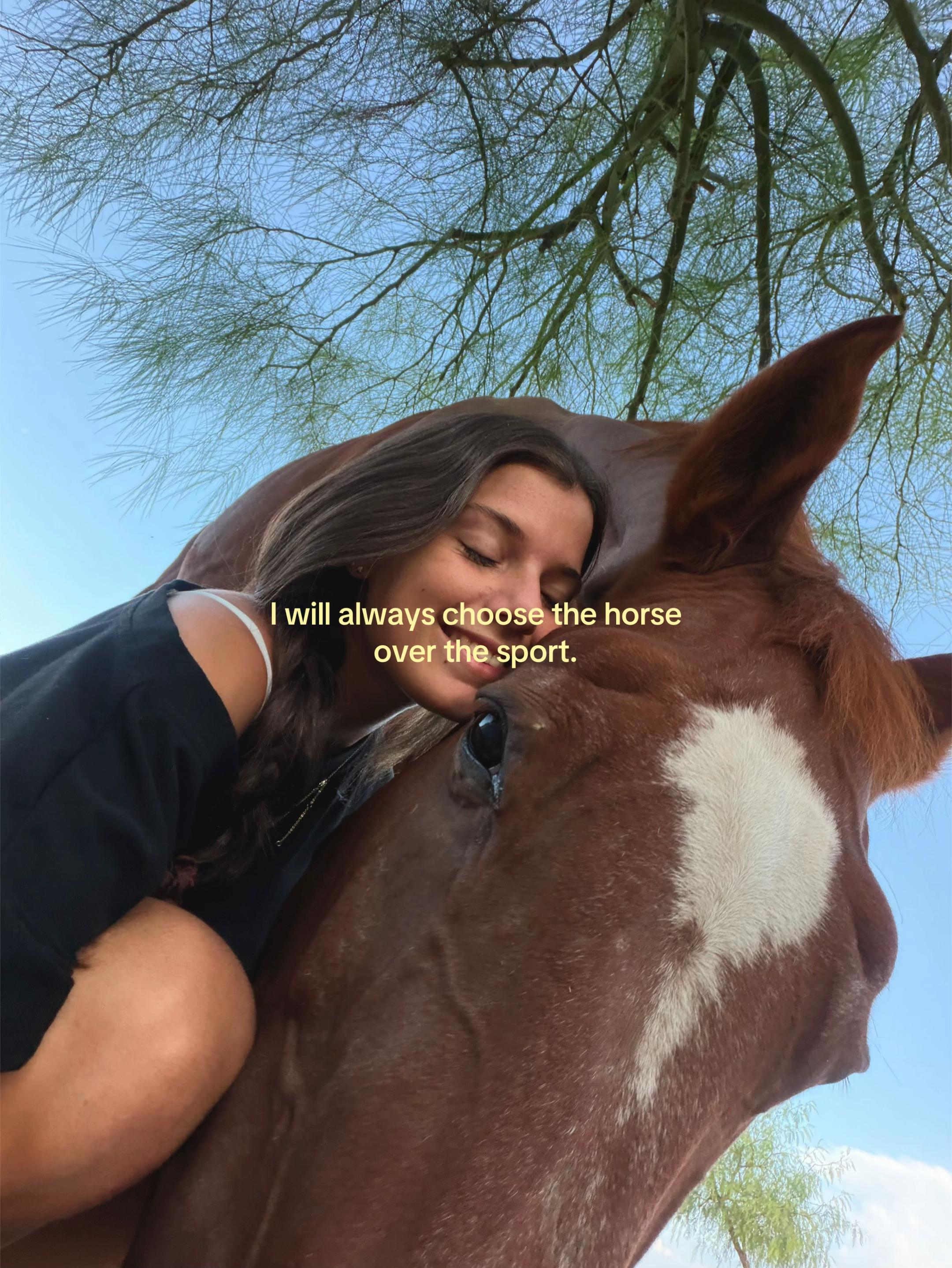 @MyHorse