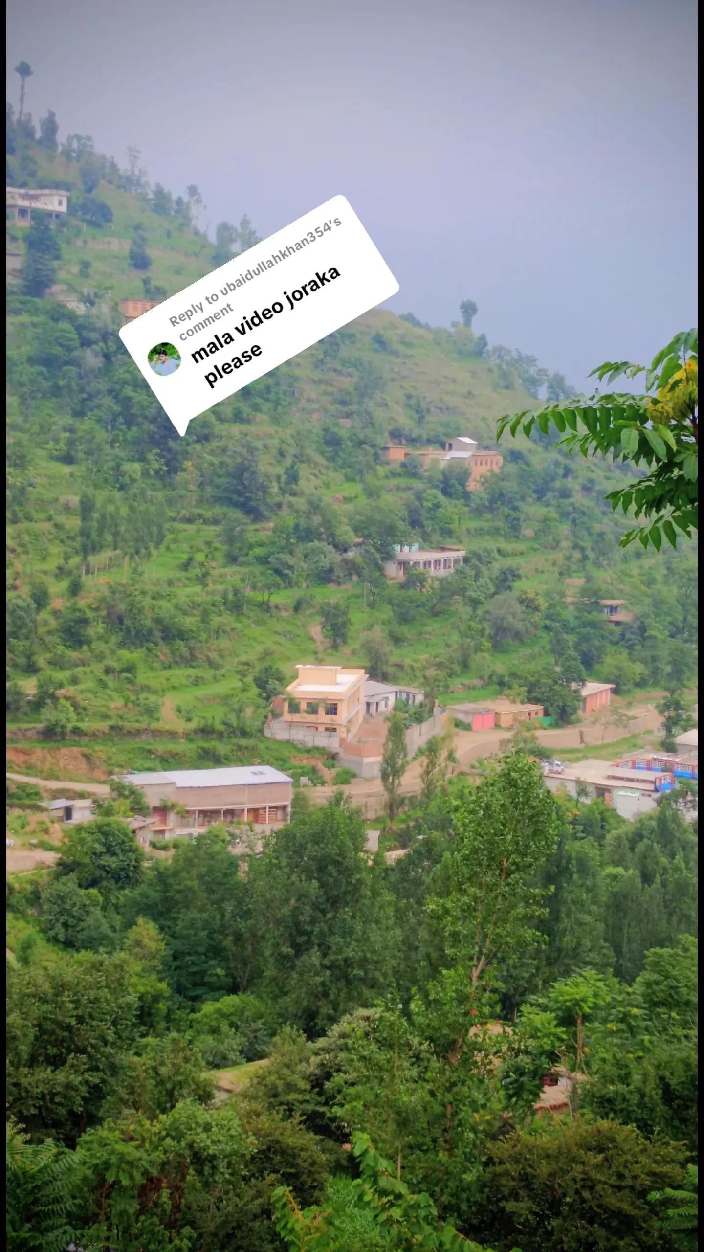 @🌲غر سنے 🌲