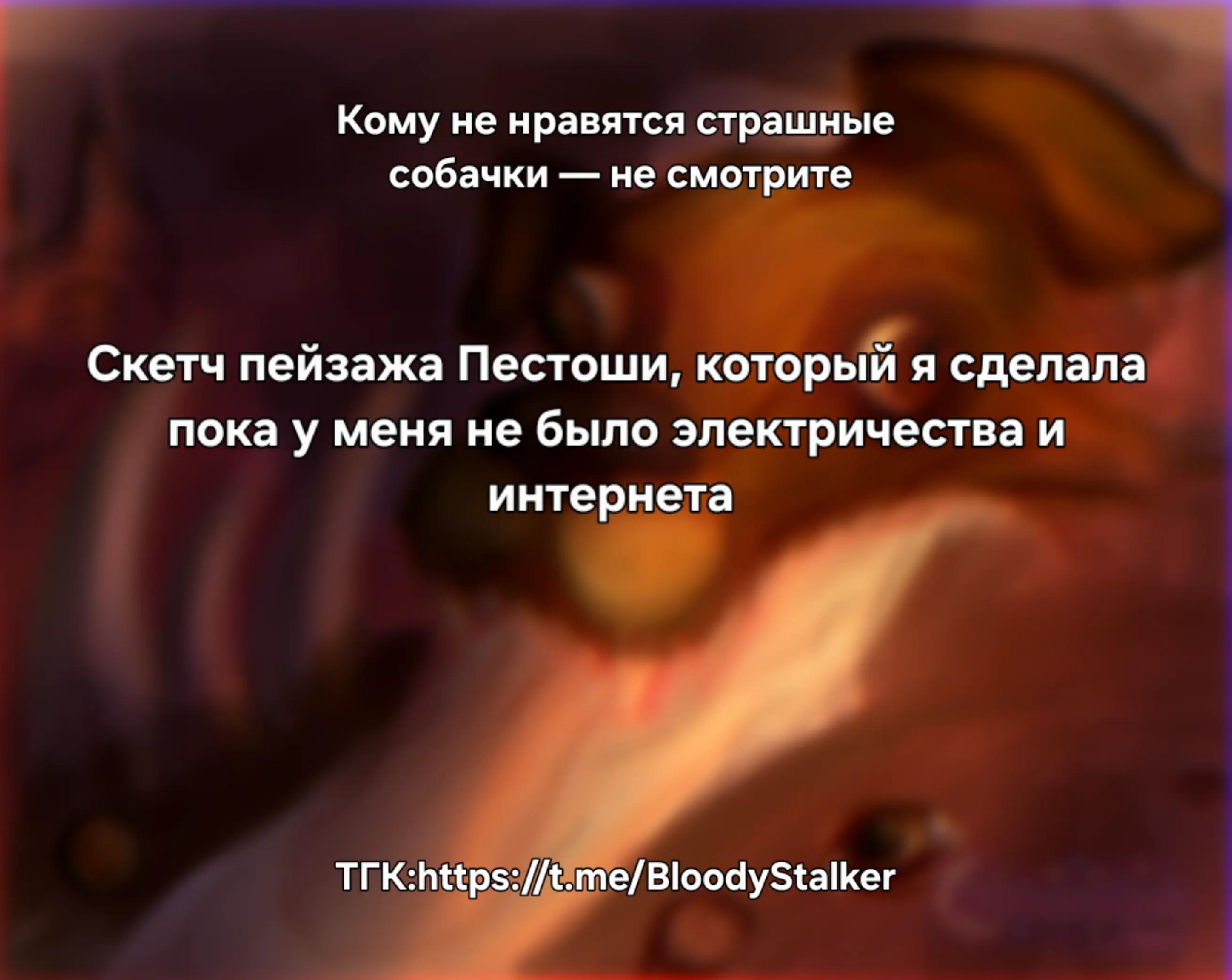 @BloodyStalker
