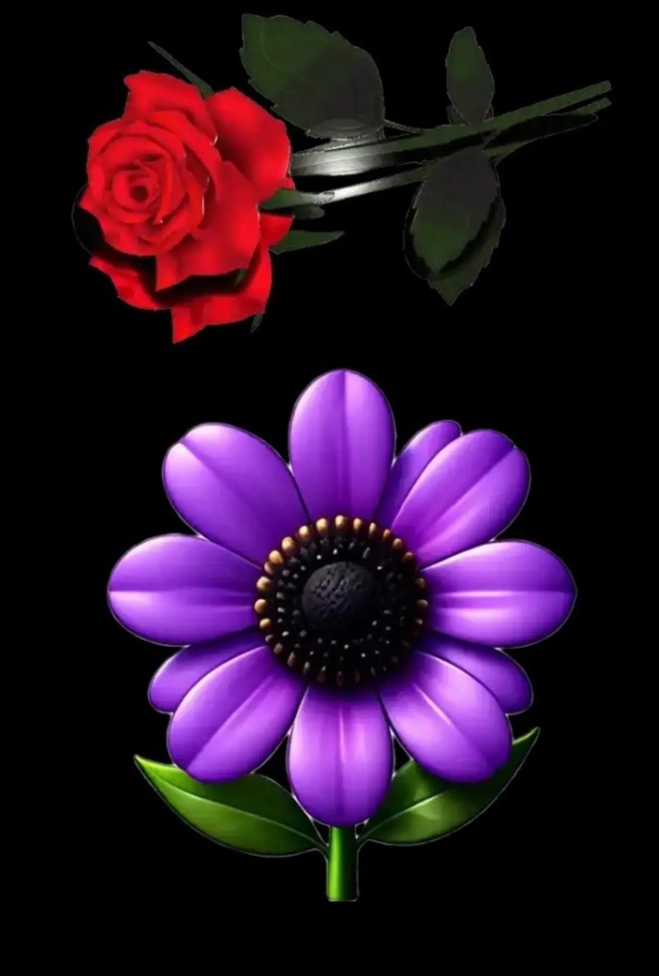 @🌌⚓Bruno BlueNight Shadow⚓🌌