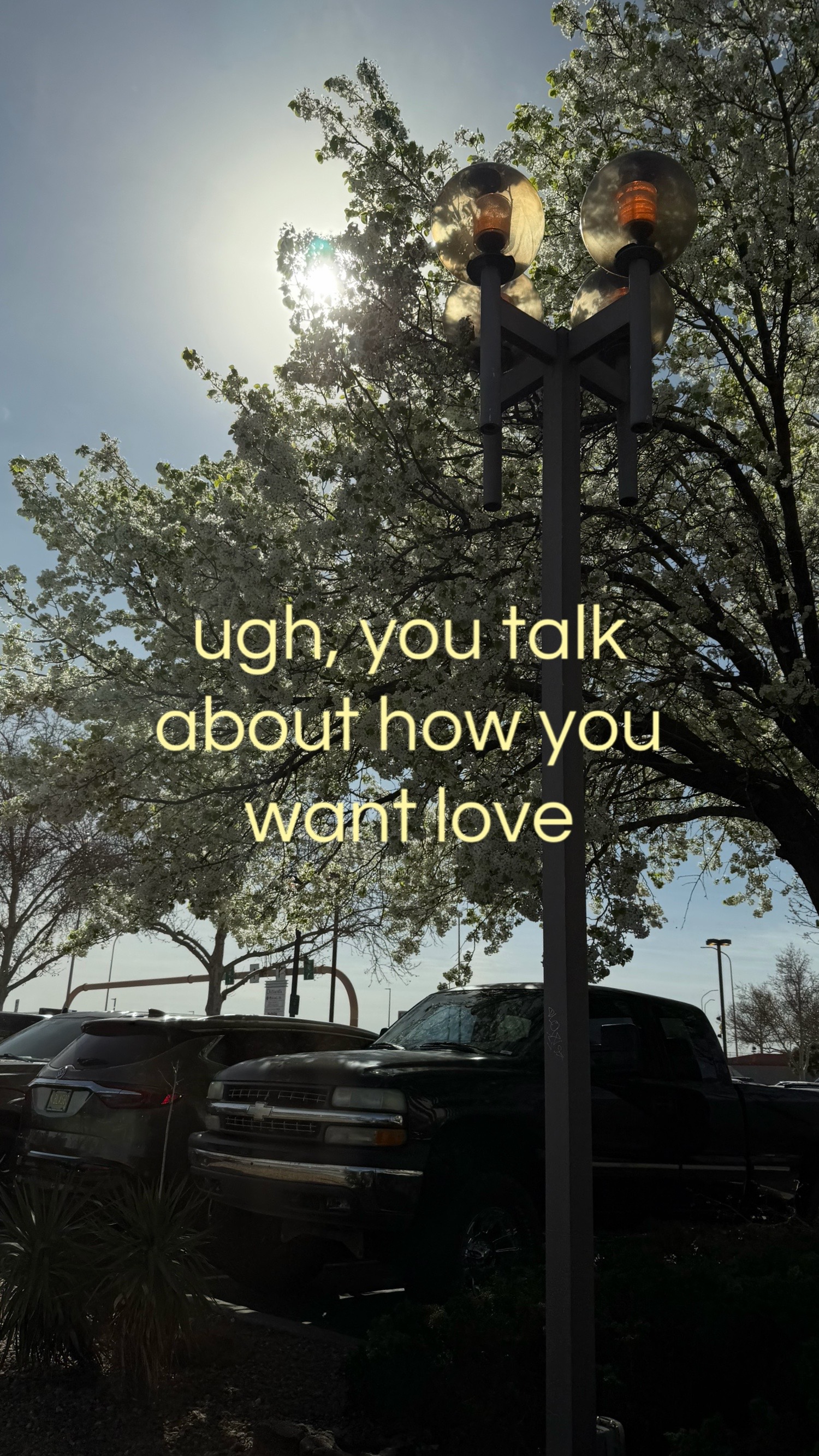 @ariana