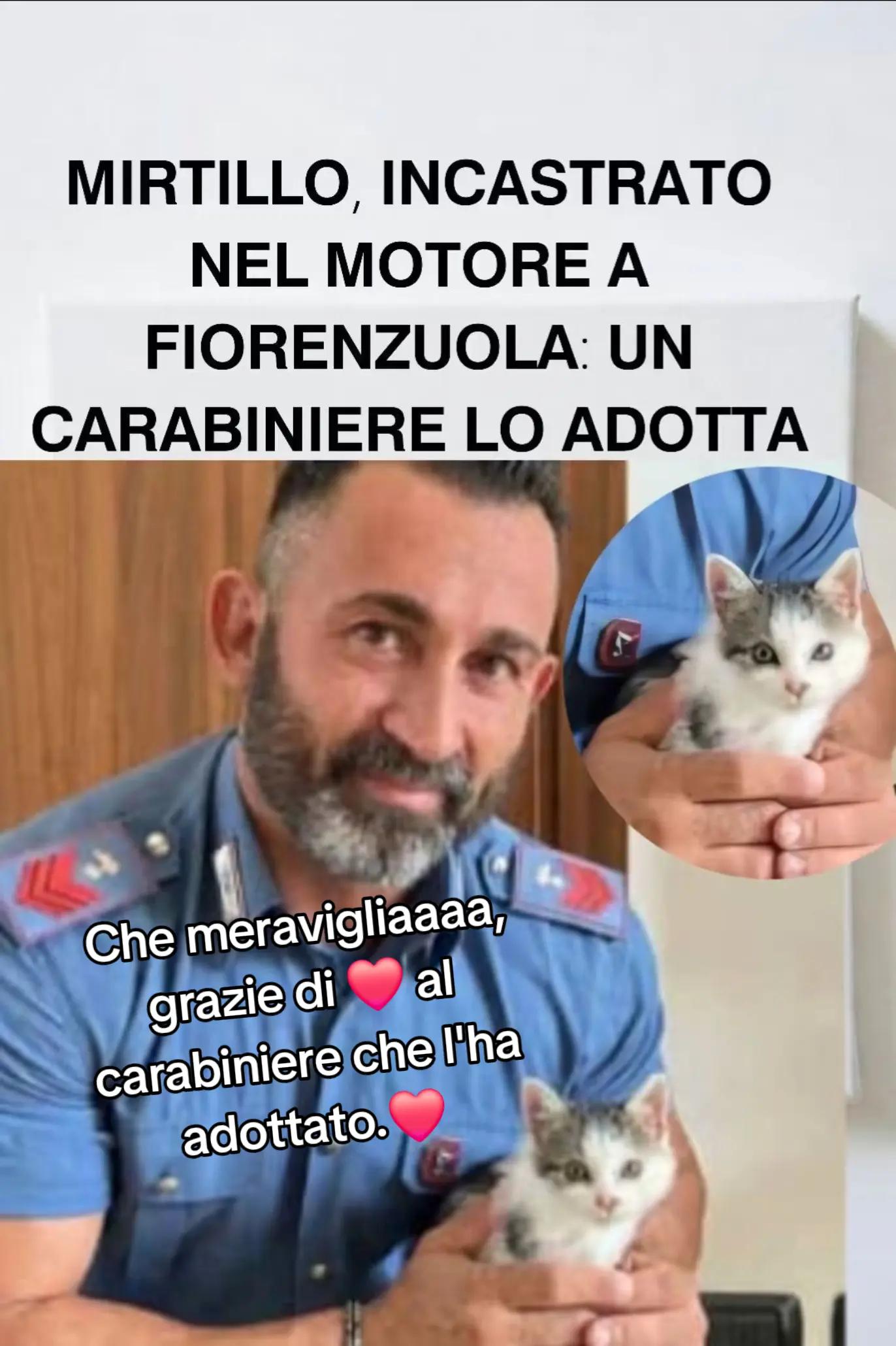 @felicia
