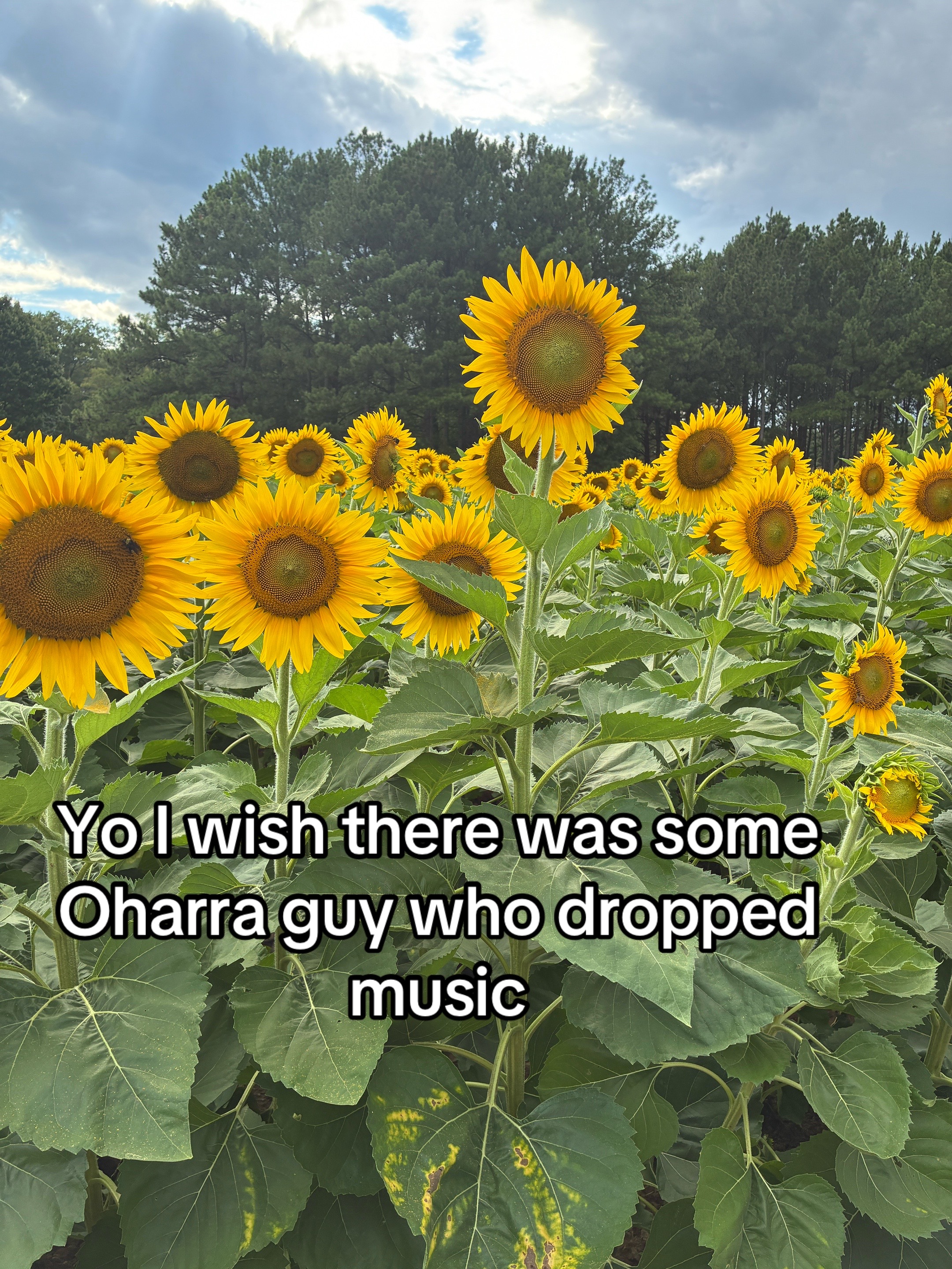 @OHARRA