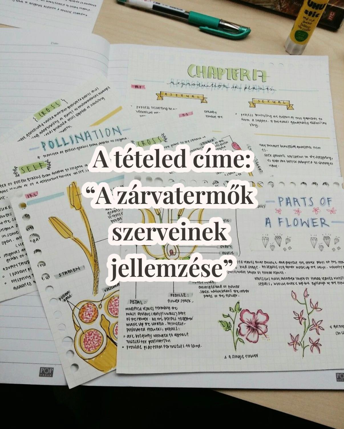 @MissMitokondria👩🏼&zwj;🏫
