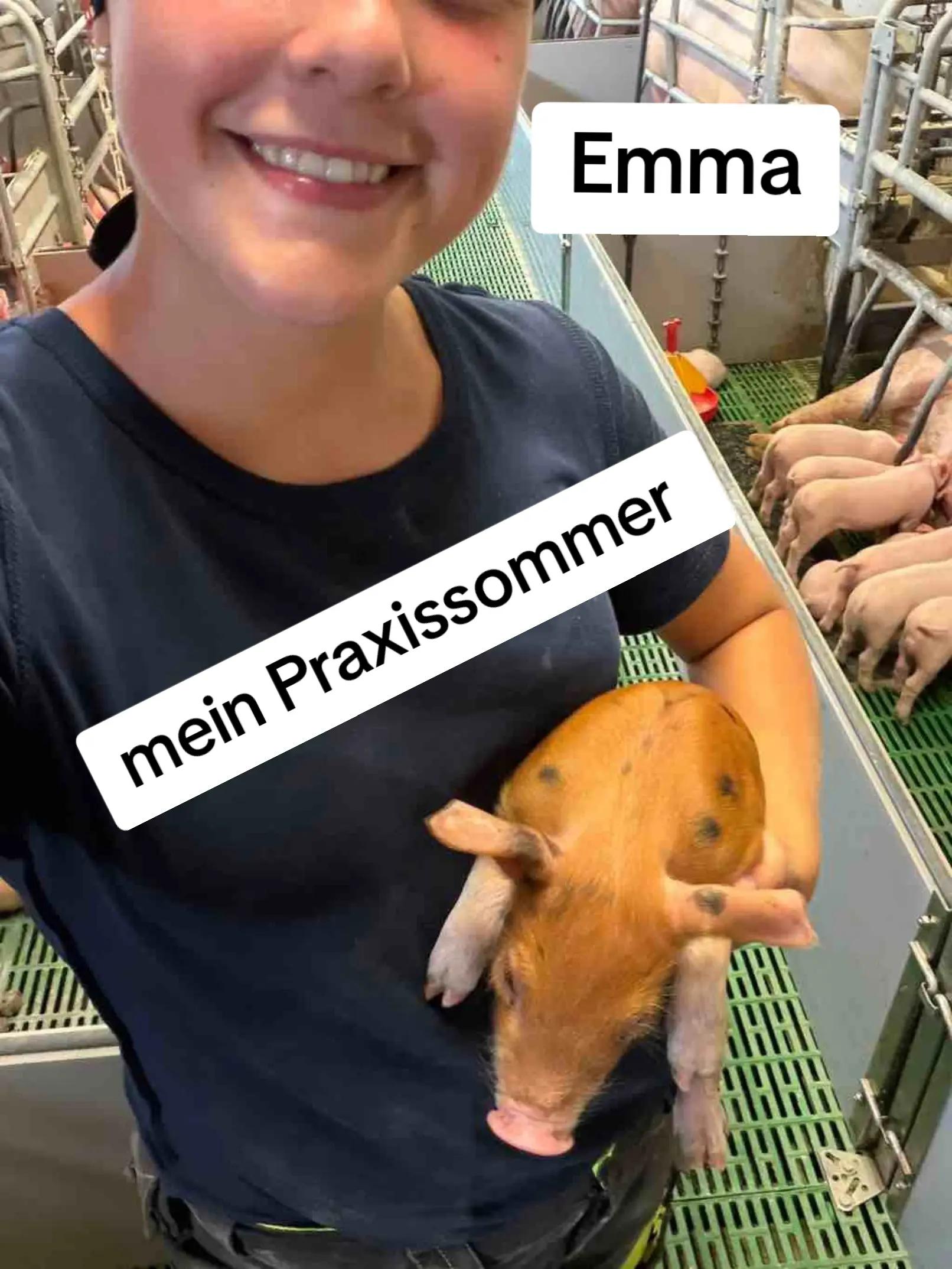 @LFS Hatzendorf