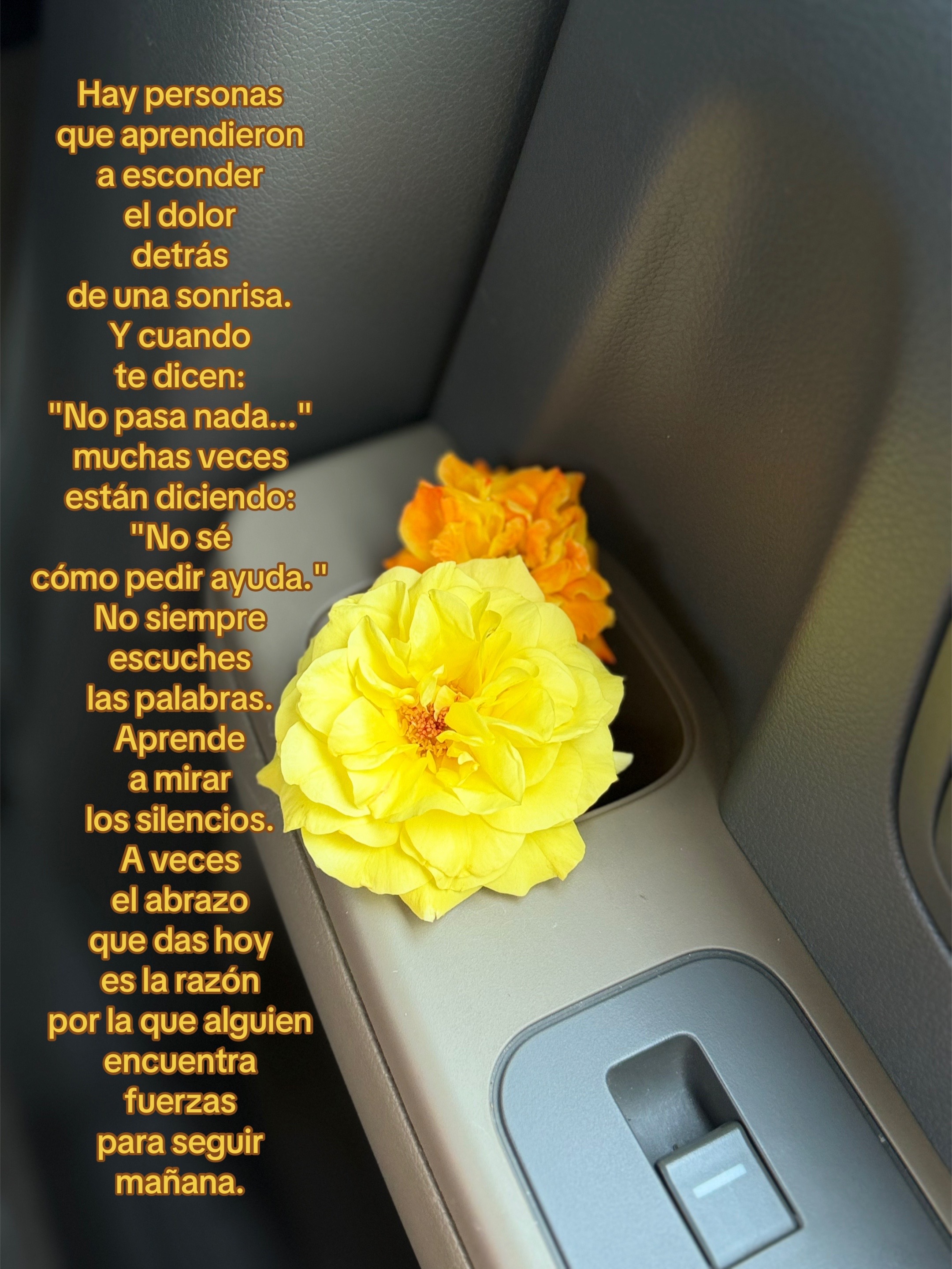 @🌻𝐋𝐮𝐜𝐲🫶🏼 🎤🩵