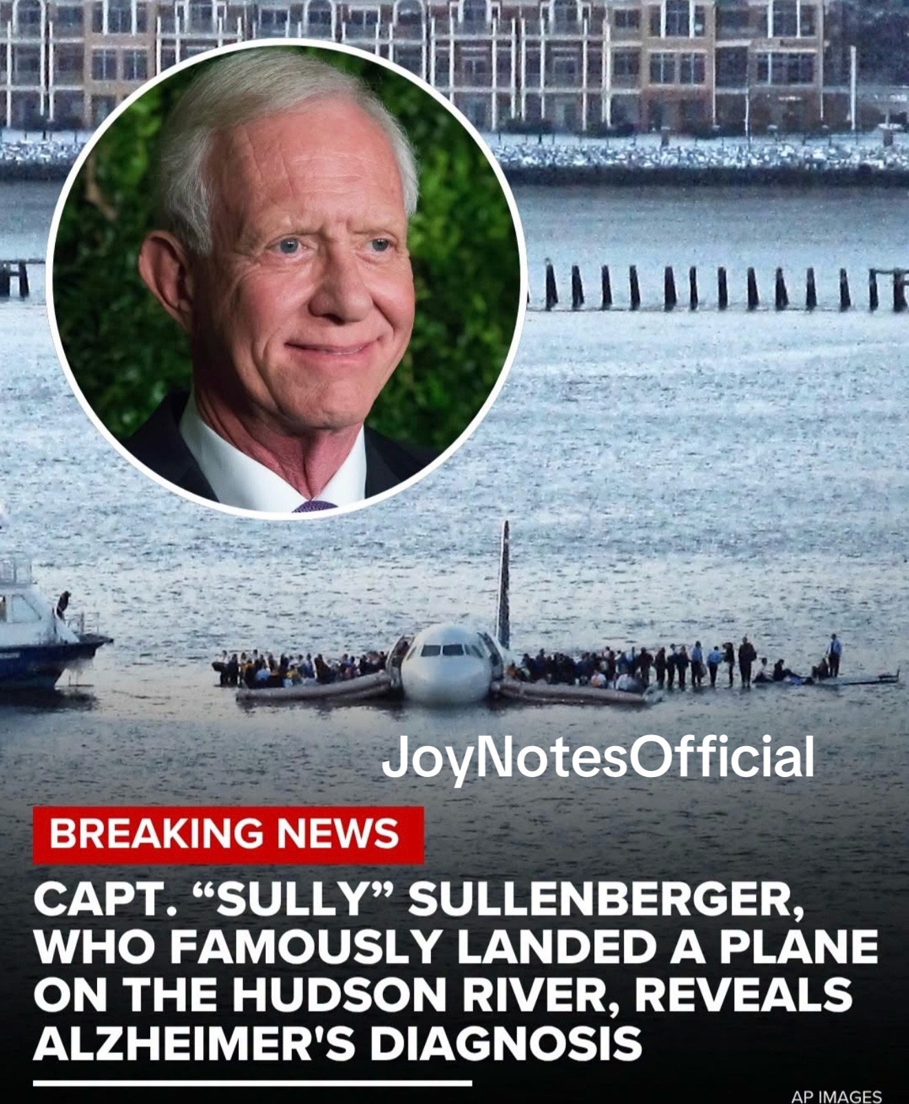 @JoyNotesOfficial