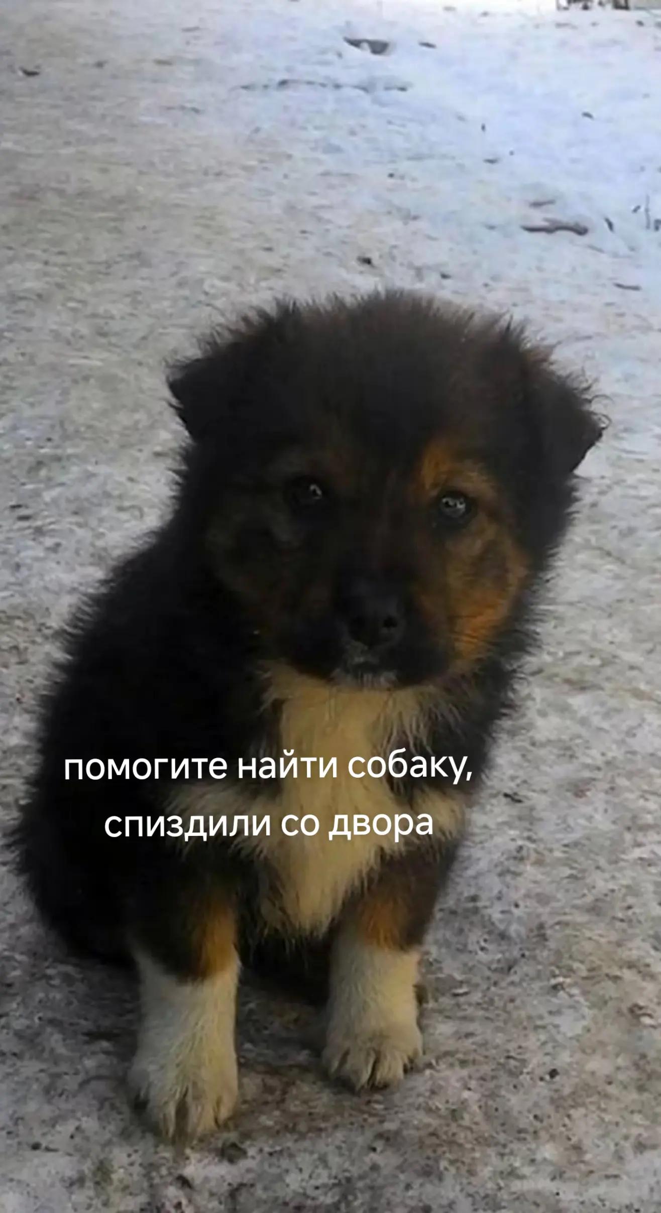 @Анонка первой школы