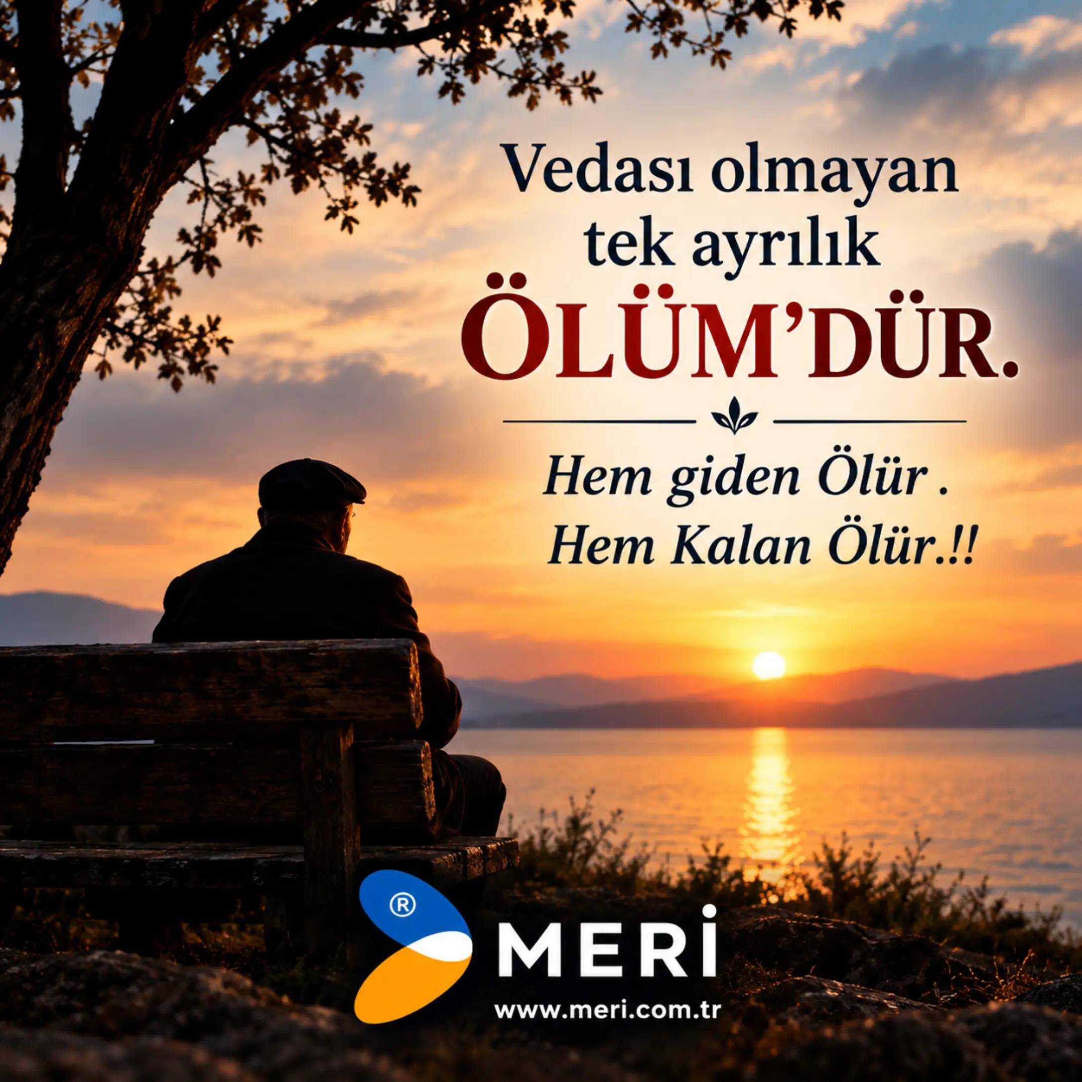 @Meri Sineklik İsmail Kurt