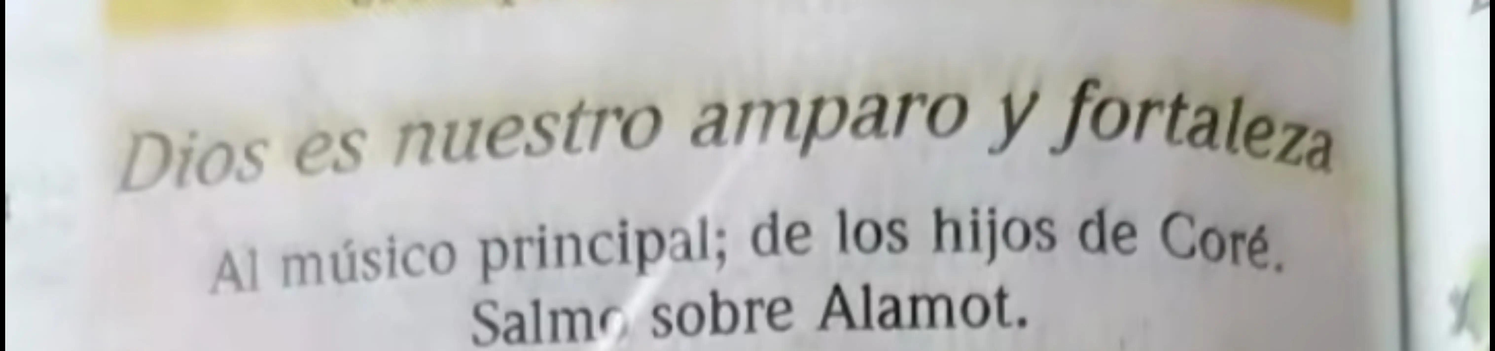 @@adela Navarro