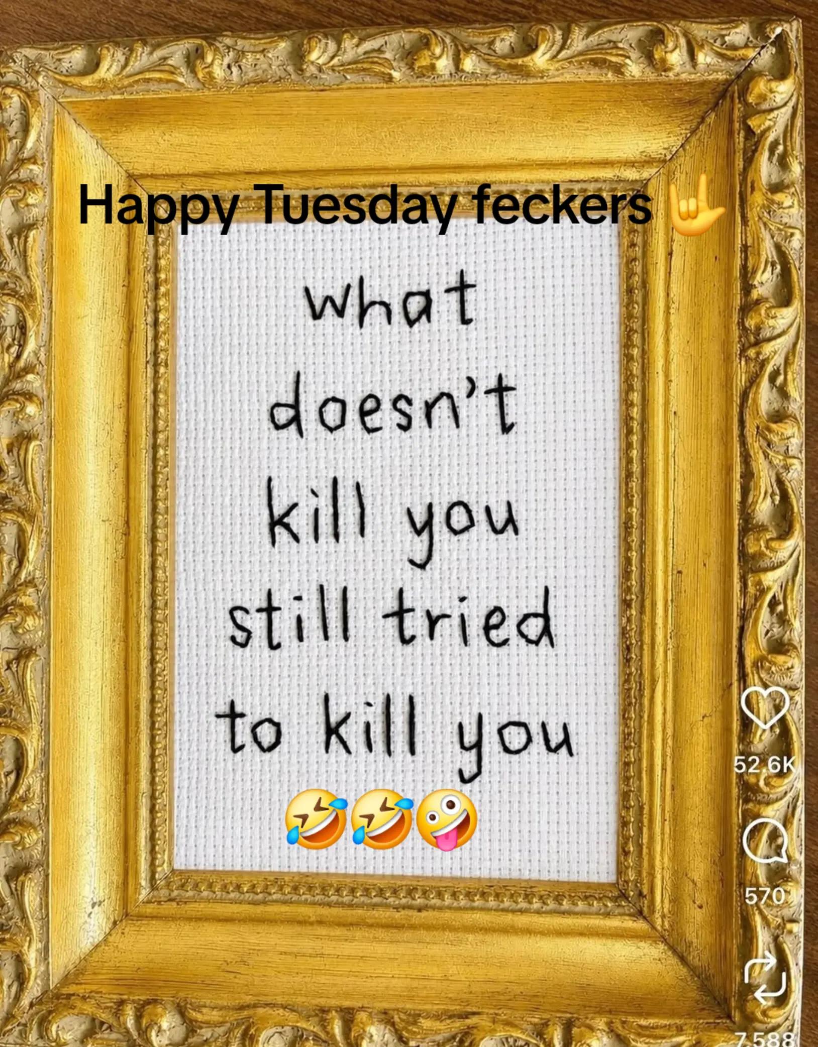 @Stevie