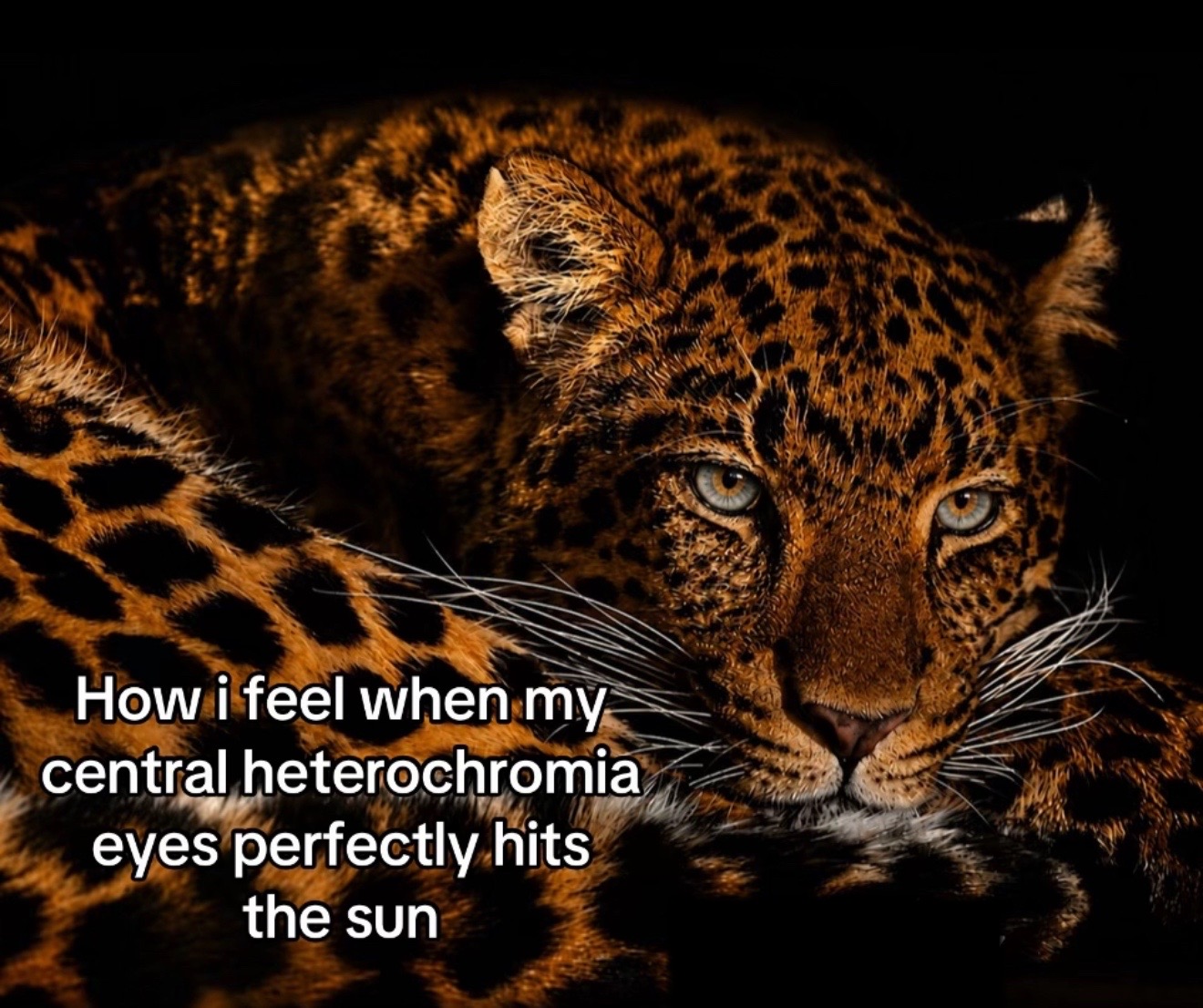 @𝔇𝔢𝔞𝔱𝔥 𝔄𝔫𝔤𝔢𝔩🕷🕸