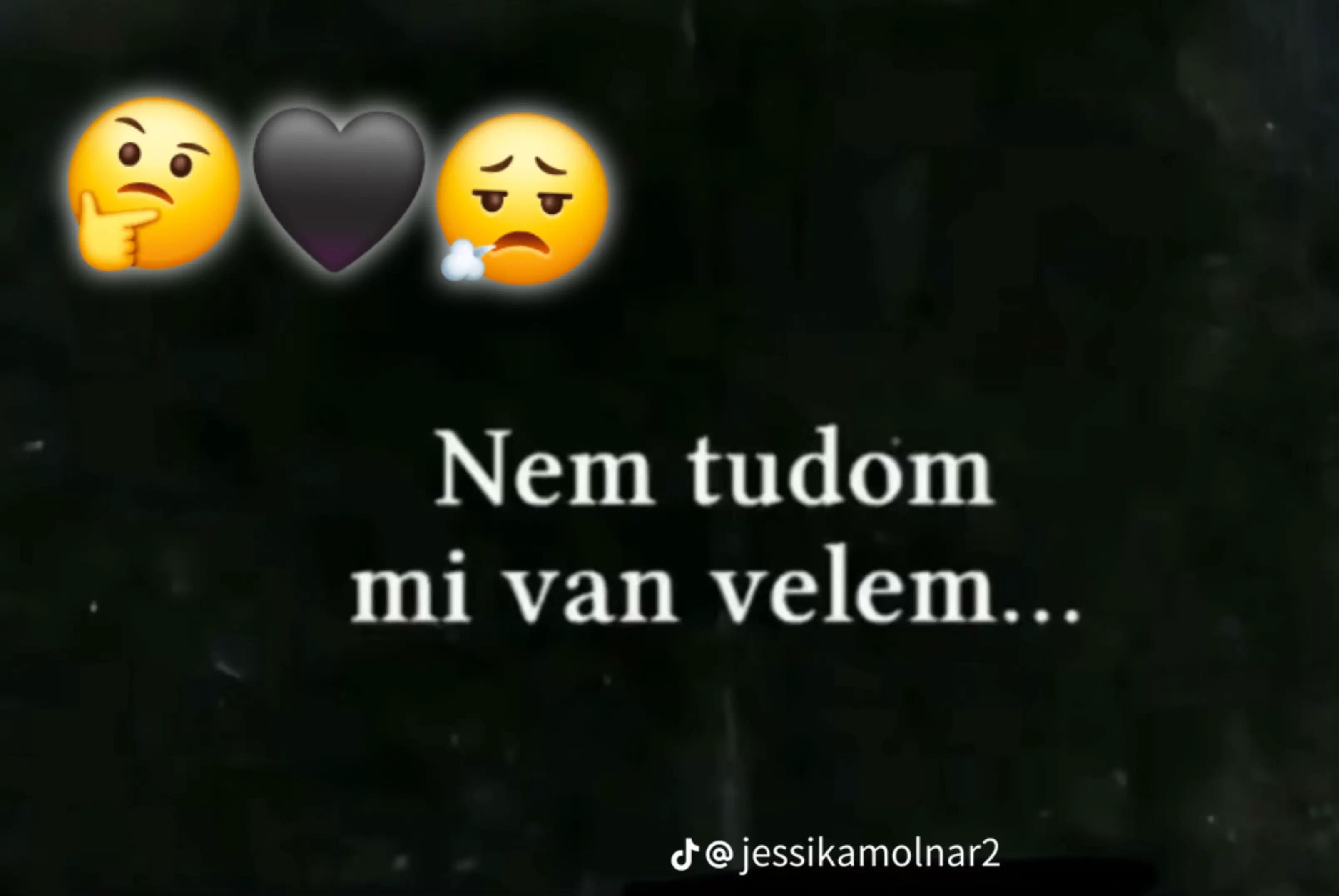 @🐍t&ouml;rpila💚