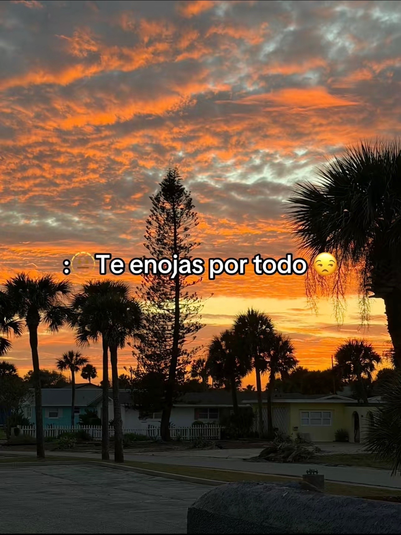 @GT ALEX❤️🥺