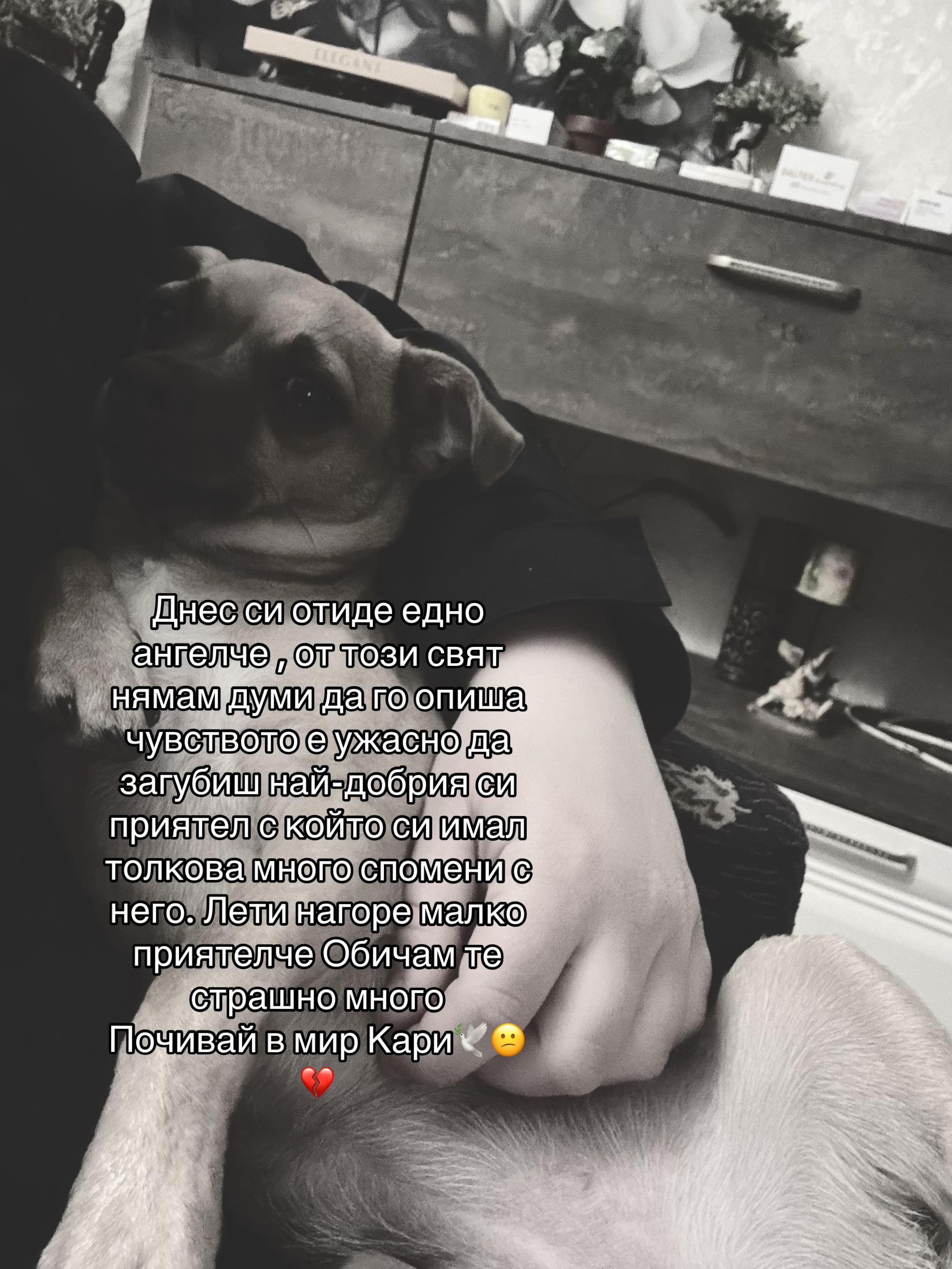 @😵debora_stoqnovaaa😵