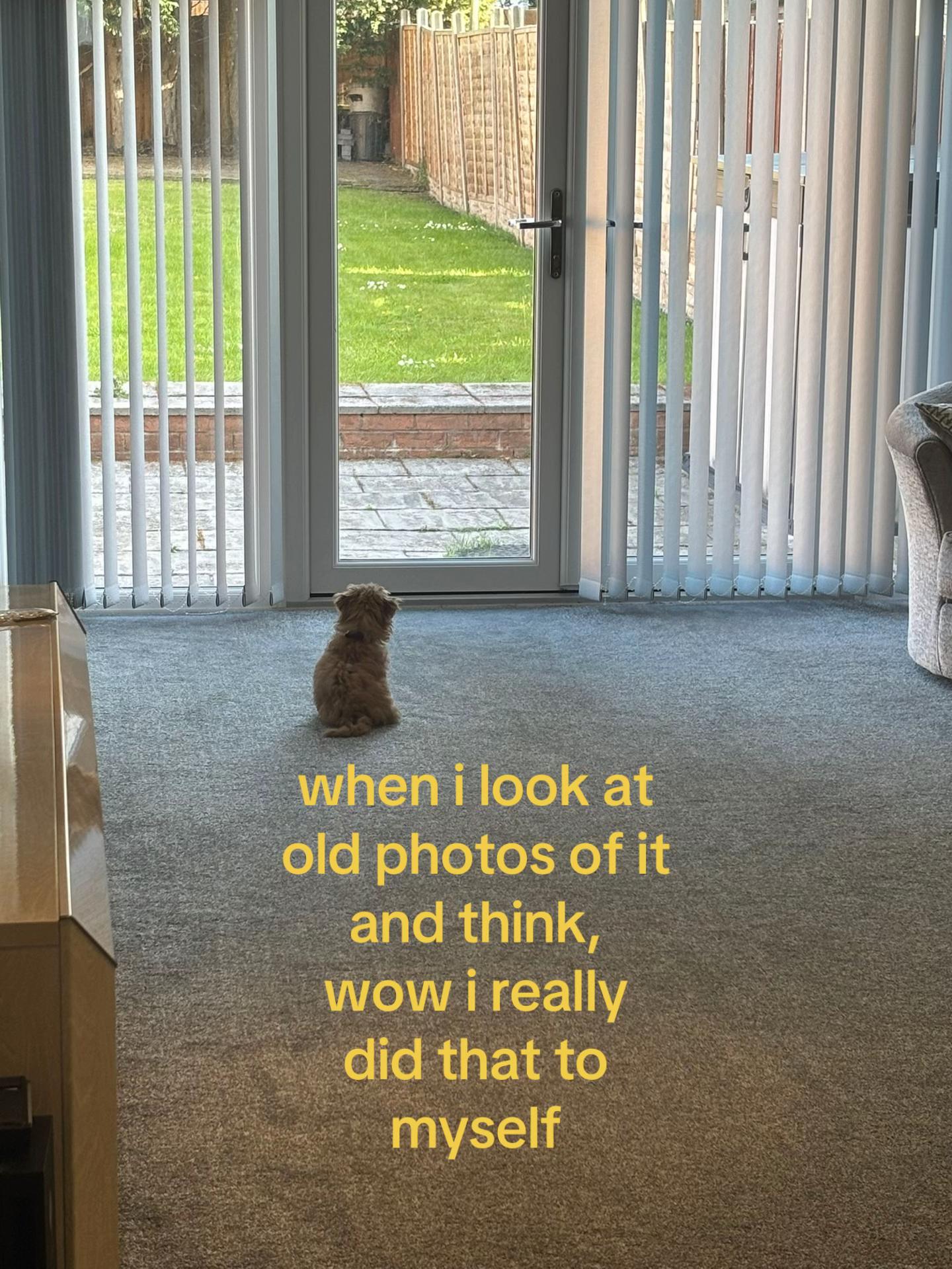 @bruh