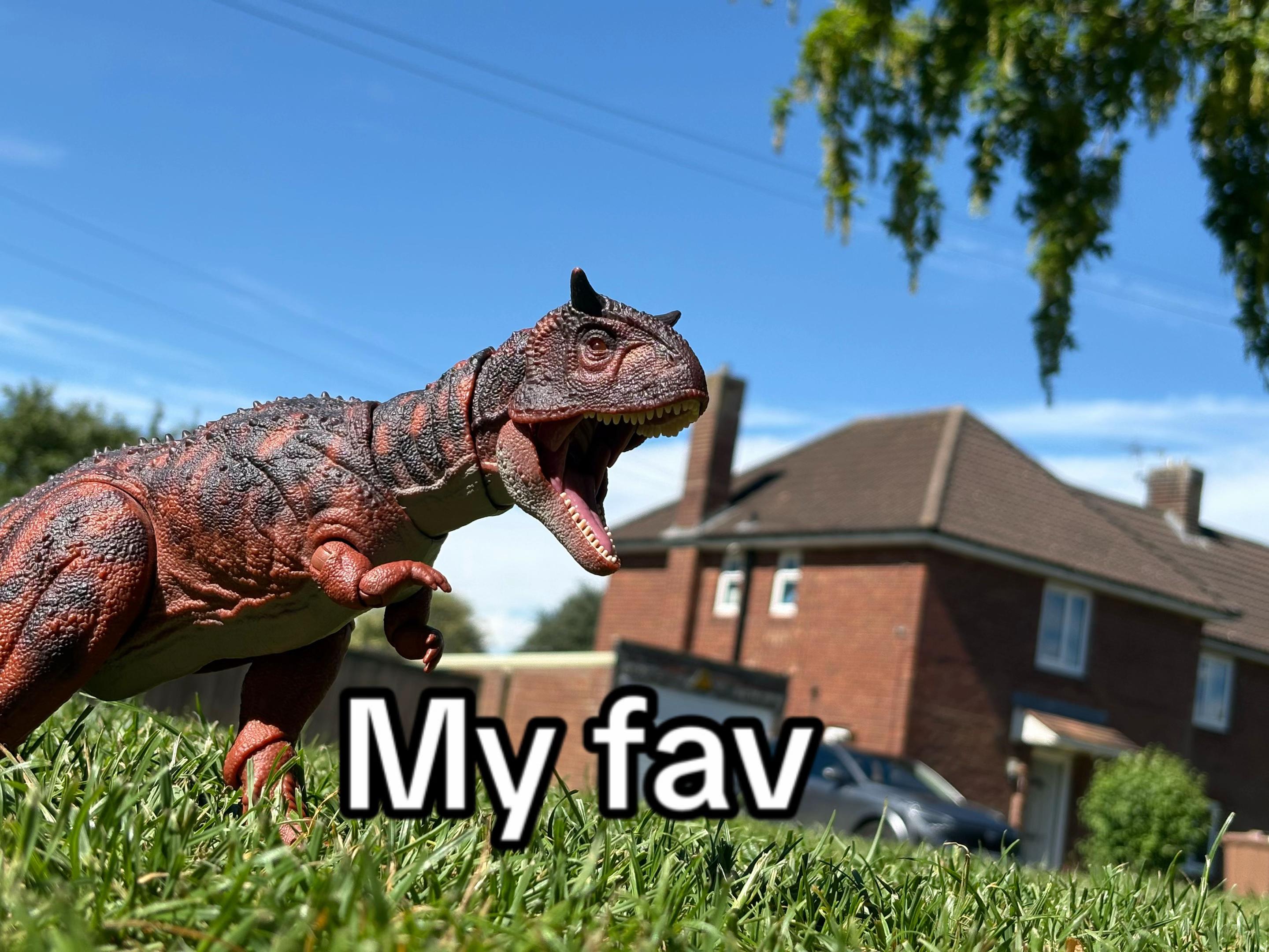 @isaac_edaly🦎