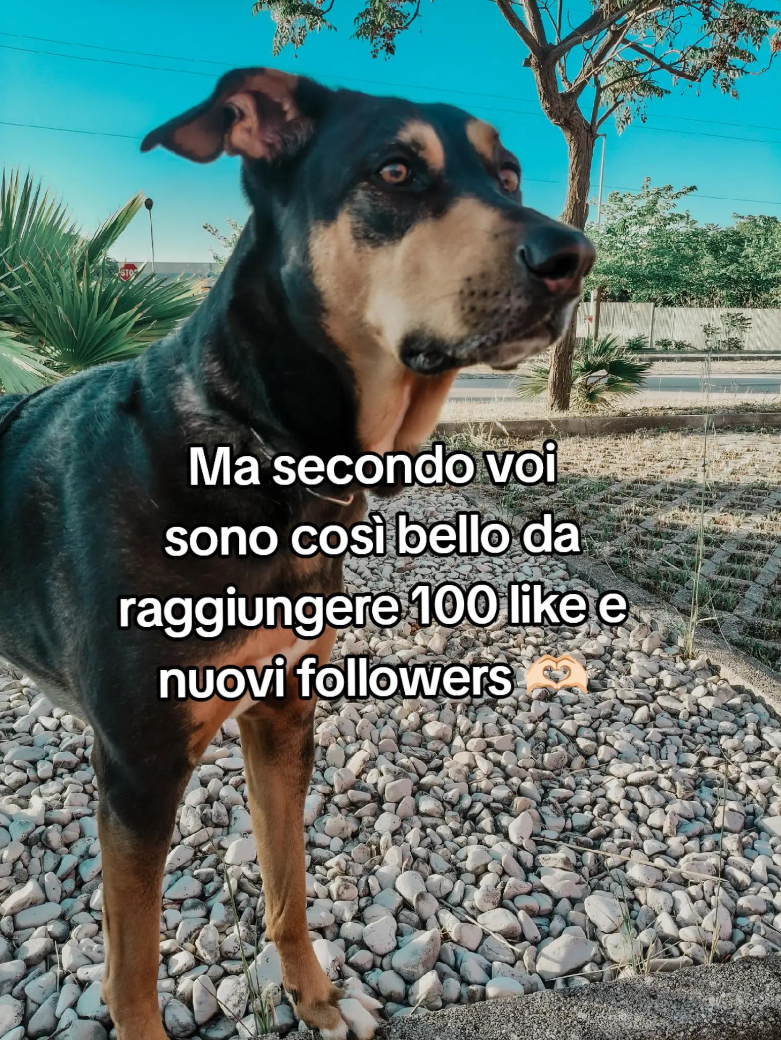 @.❤️🍭Ɍï𝓉𝖆🍭❤.🎧🧸
