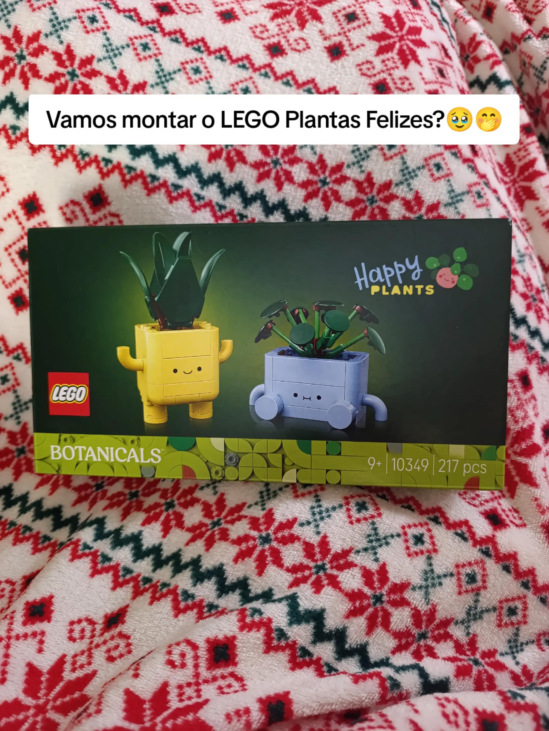 @Joana Ruivo