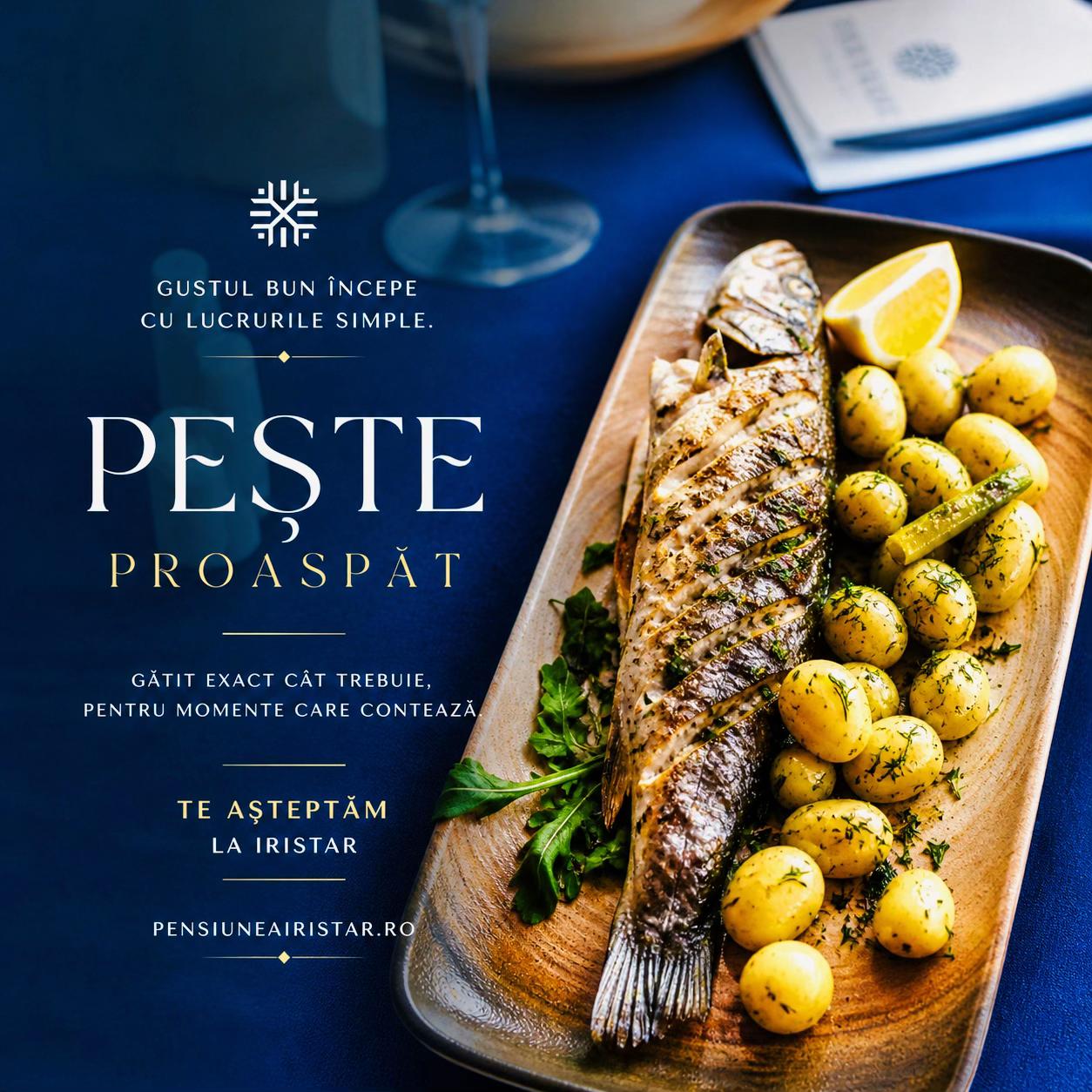 @Pensiunea Iristar Fălticeni ⭐️