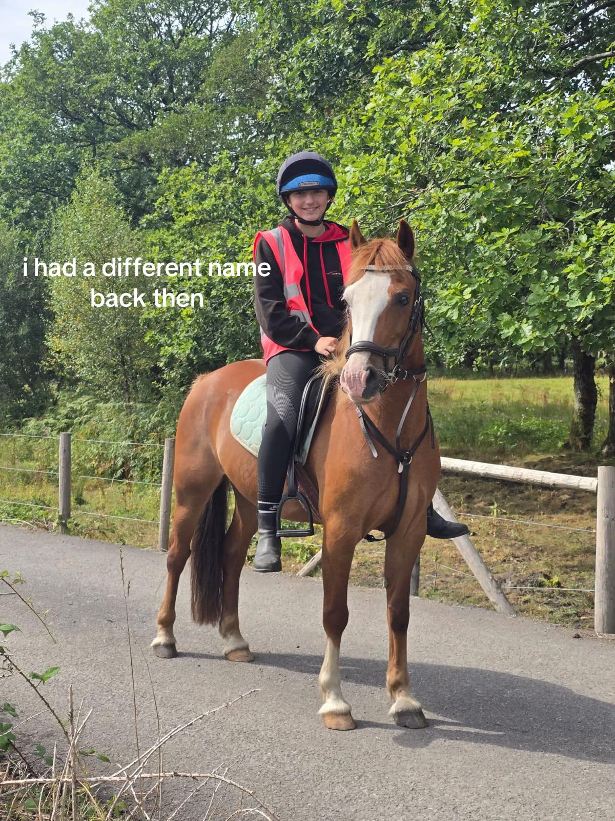 @shelbyshorseaccount
