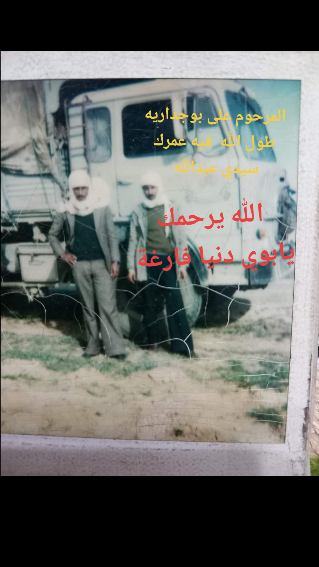 @ناصر بوجدارية