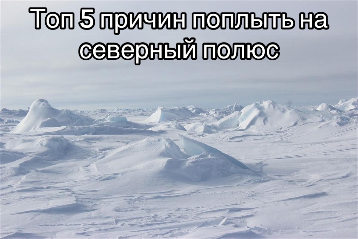 @ТГК:ПОДВАЛ ДУНАРИНЫ