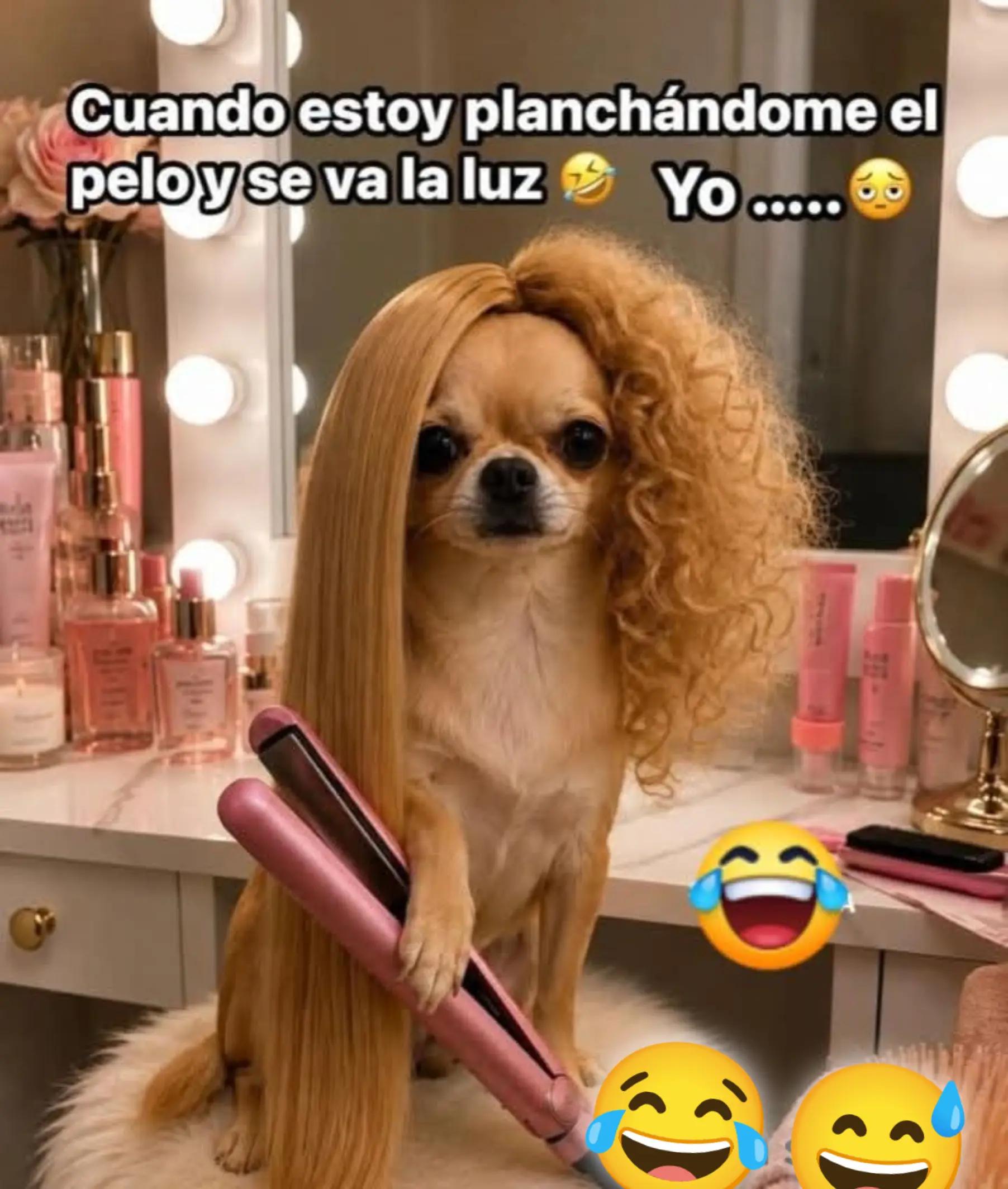 @🧚🧚CH@P@RRIT@🧚🧚🏼♀️