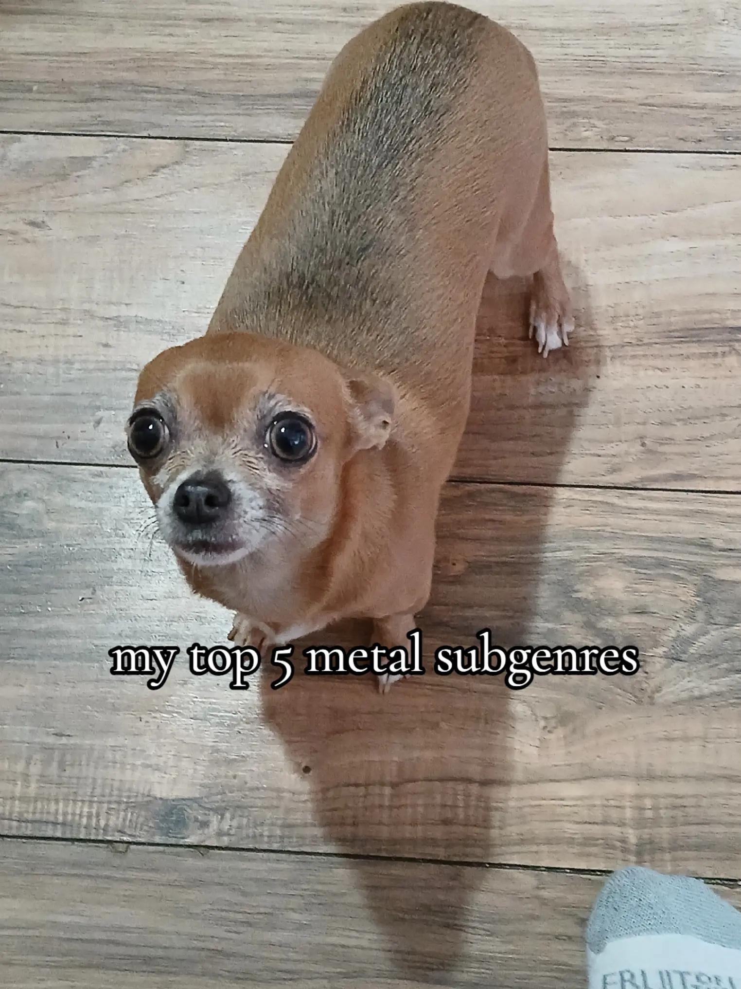@𝕮𝖔𝖑𝖑𝖎𝖓 ♫⃠