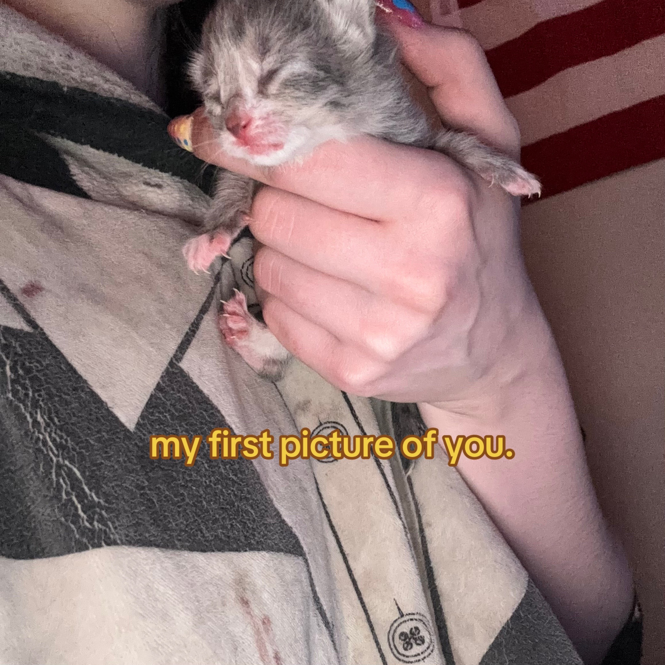 @weak - 08/14/26