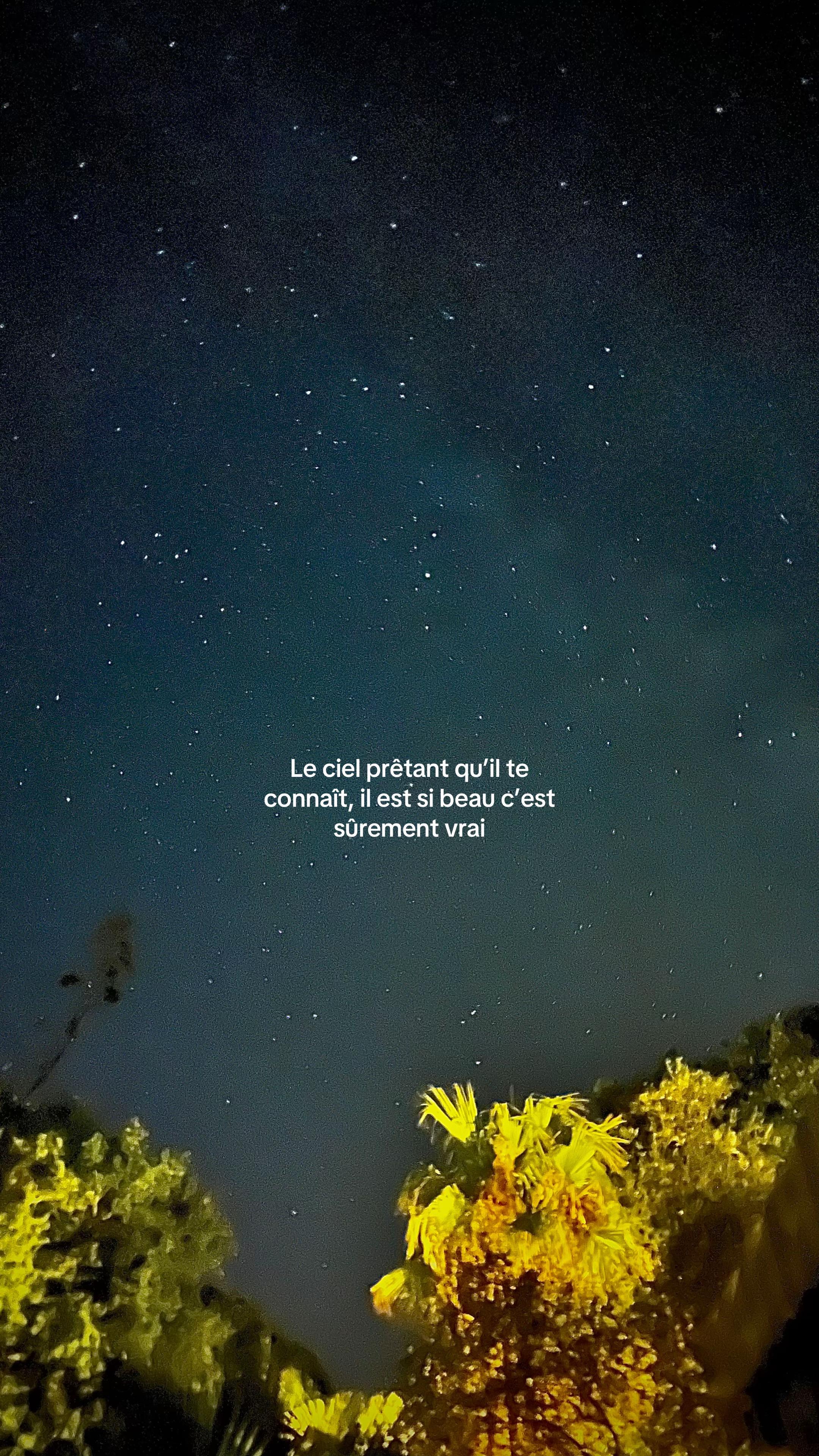 @𝒷𝓇𝒻_99