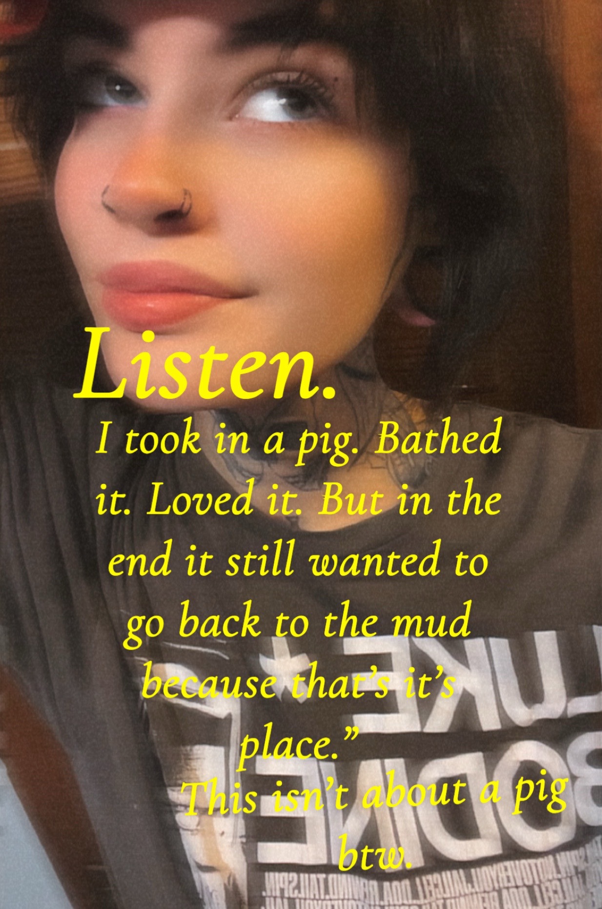 @🫥🦇Bats🦇🫥
