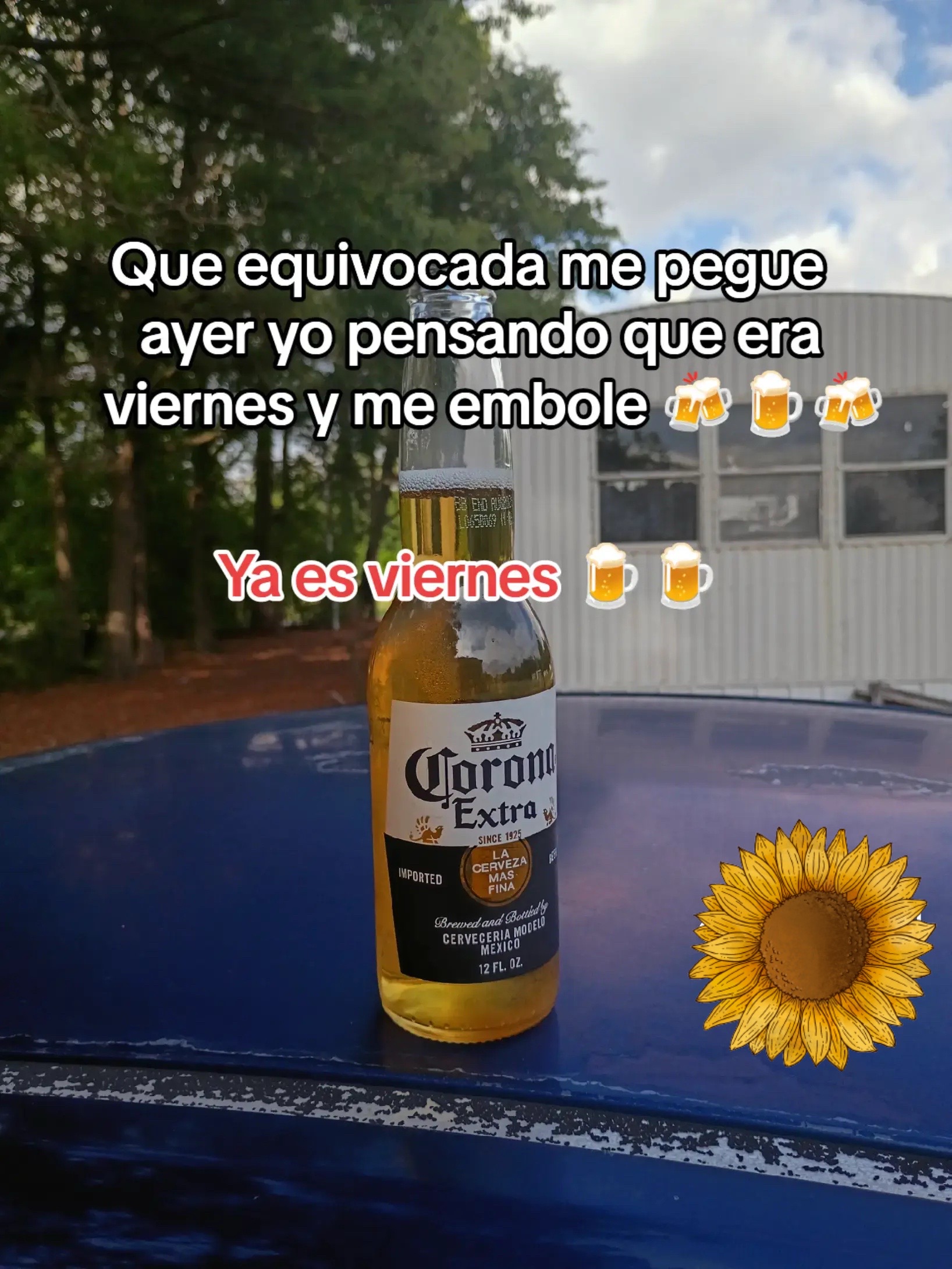 @806ICE