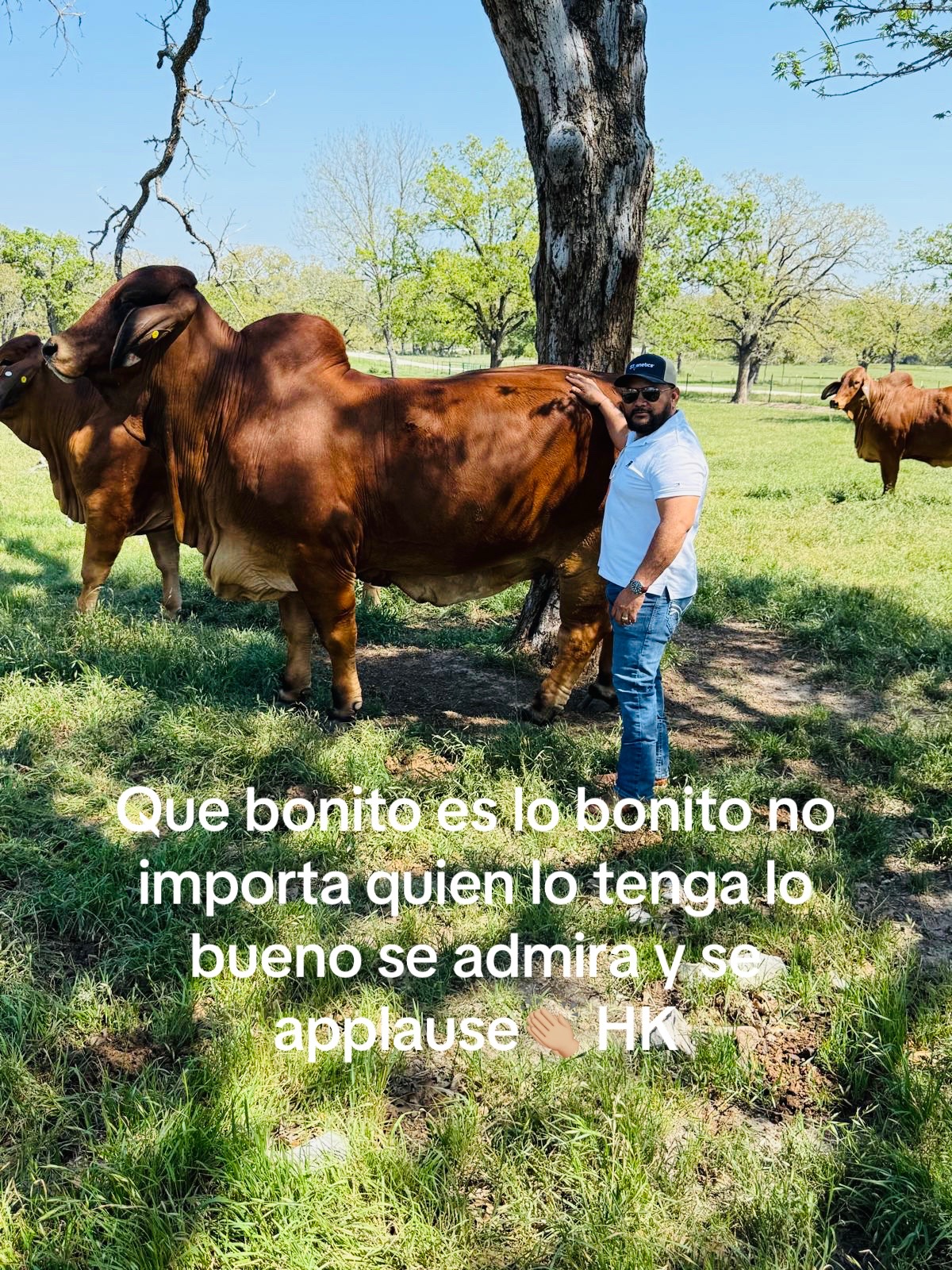@Caballo loco 77