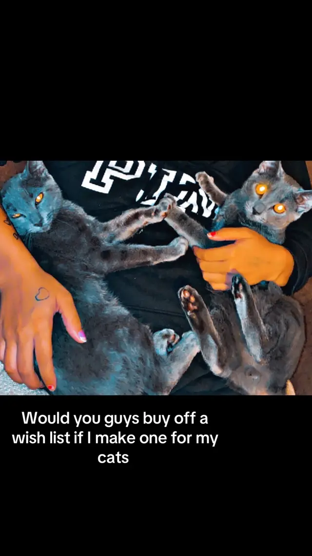 @catmomjailee123